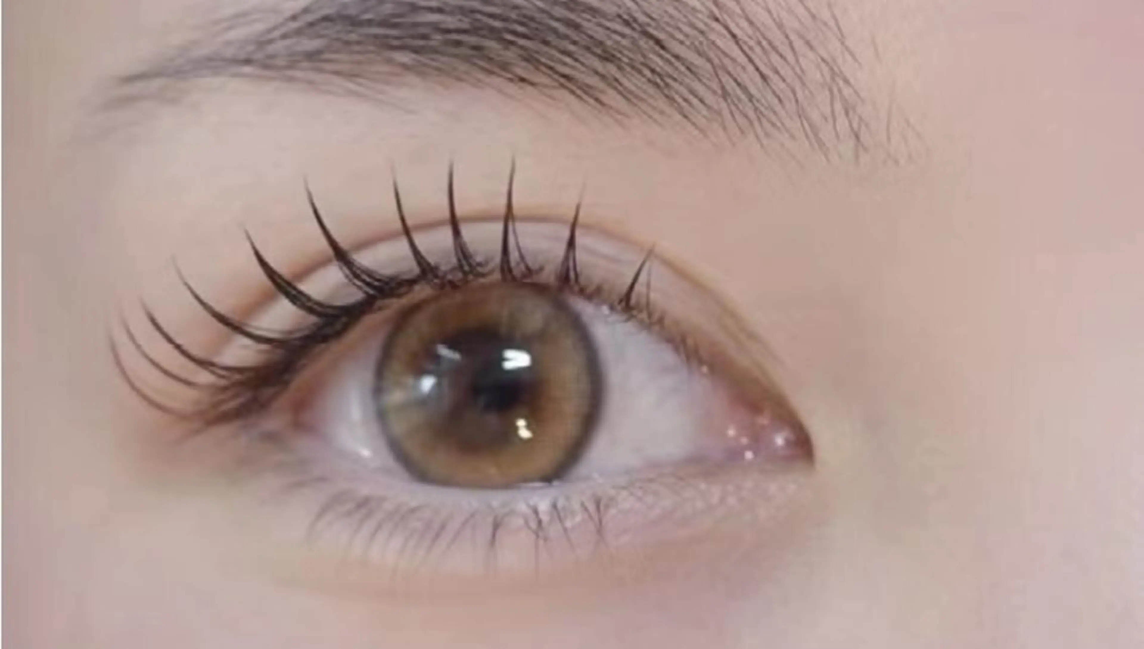 マツエク・マツパ マツエク Cute B e au t yのマツエク・マツパデザイン