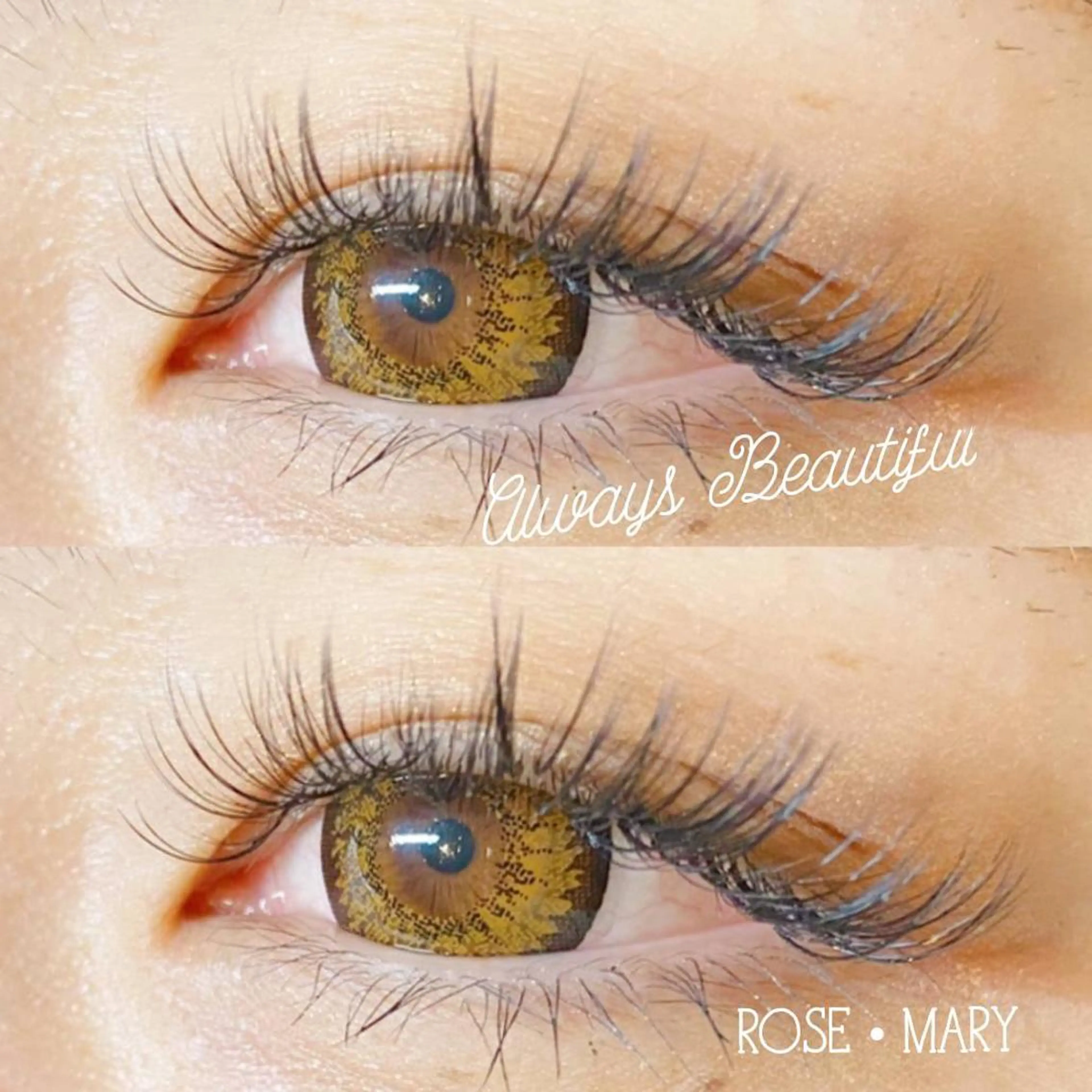 マツエク・マツパ マツエク ROSE MARY 大竹のマツエク・マツパデザイン