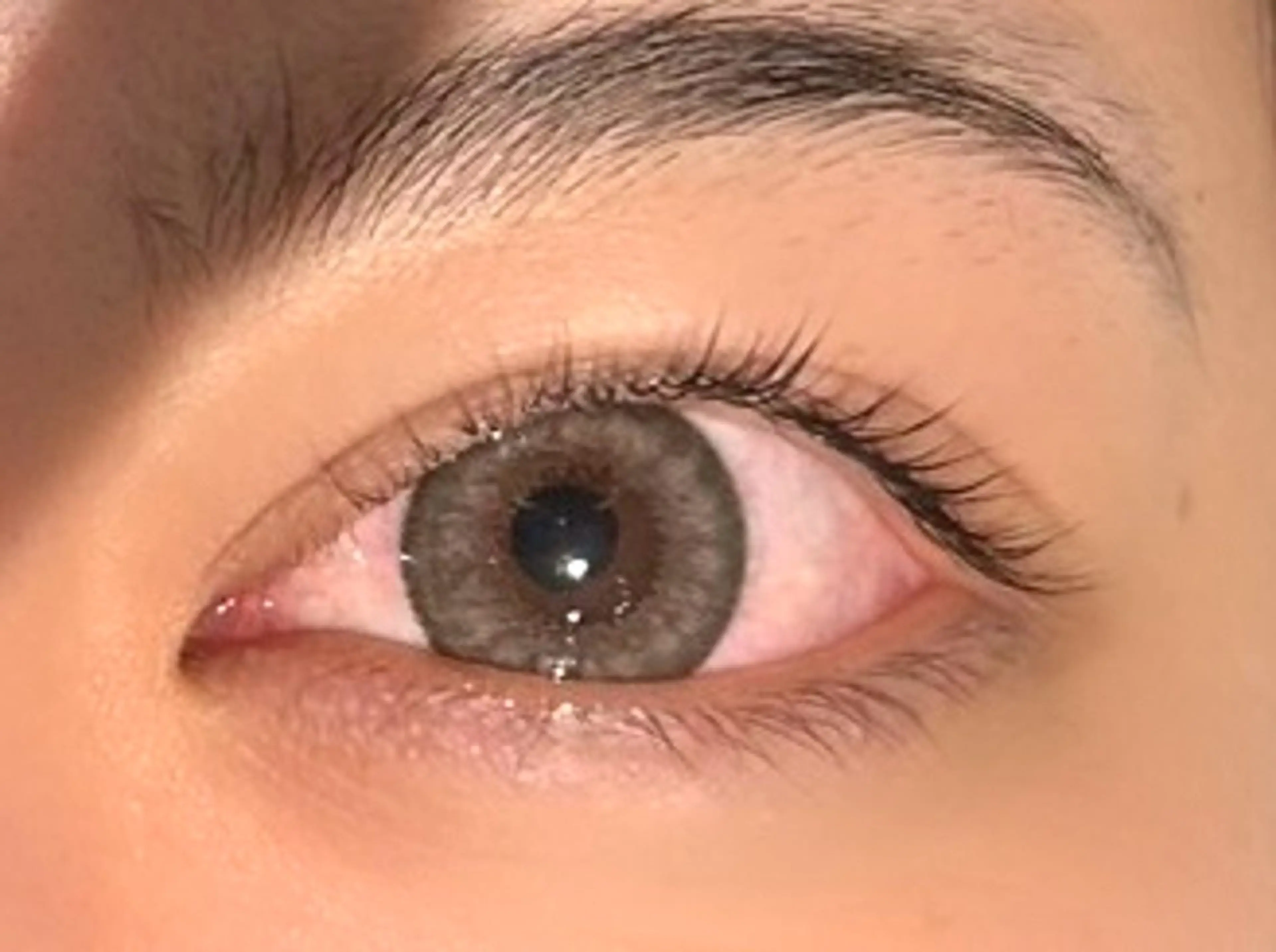 マツエク・マツパ 一重×まつ毛パーマ laugh 🐾Mii🐾のマツエク・マツパデザイン