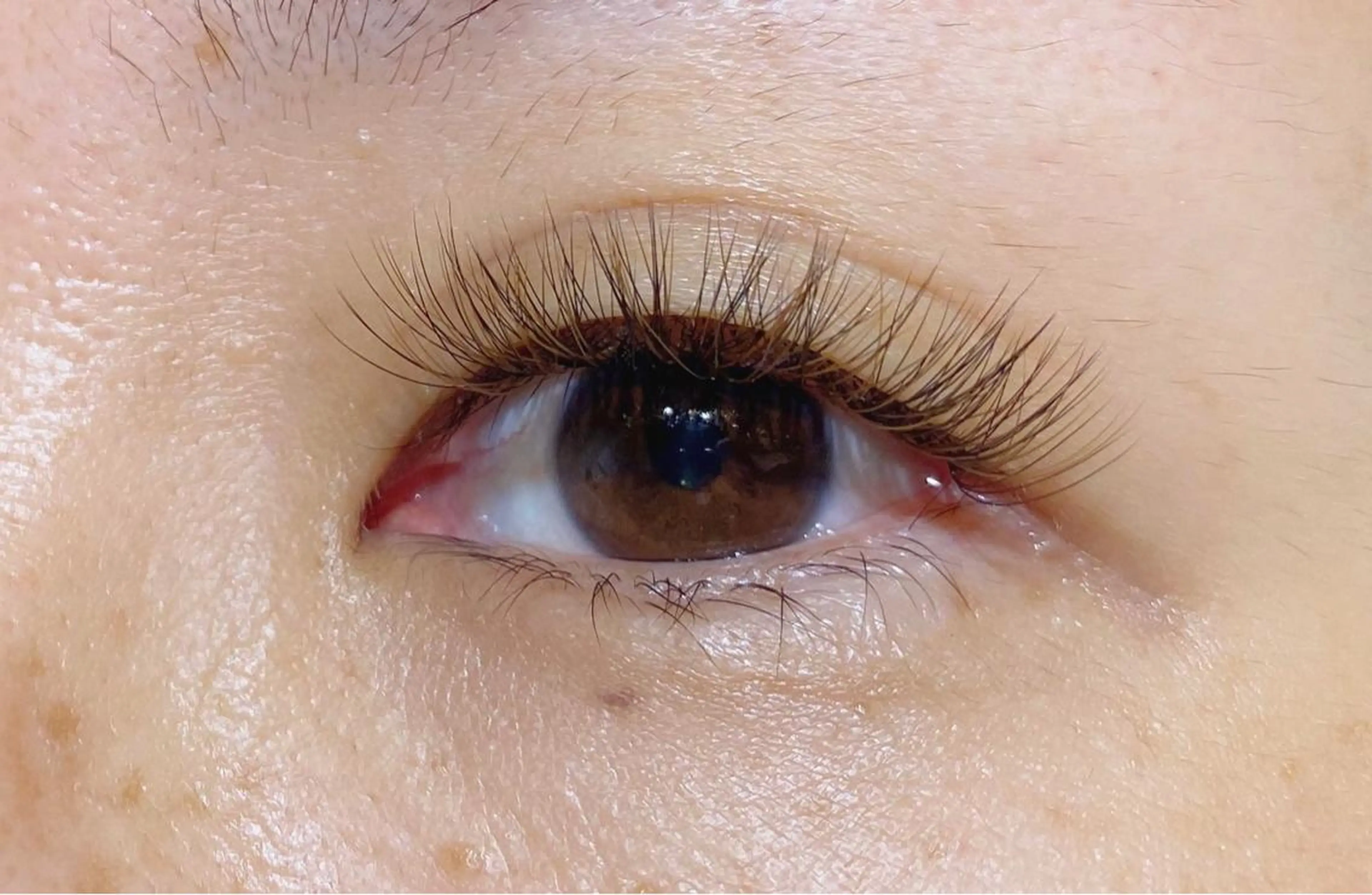 マツエク・マツパ カラーマツエク ボリュームラッシュ Carat Eyelash&Eyebrow 市川店所属・時田 友美のマツエク・マツパデザイン