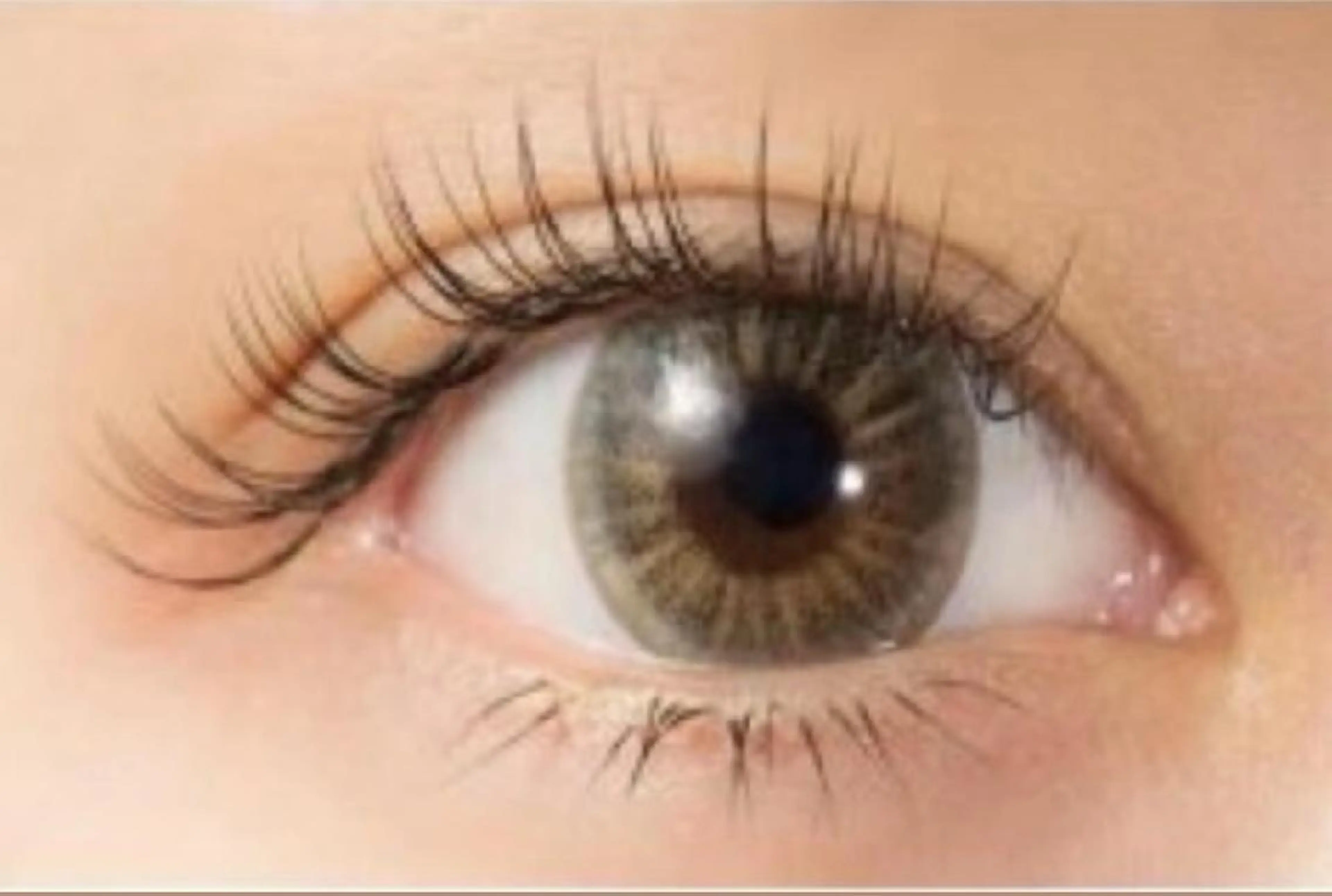 オフ無料★高級プラチナセーブル両目120本（上）の写真