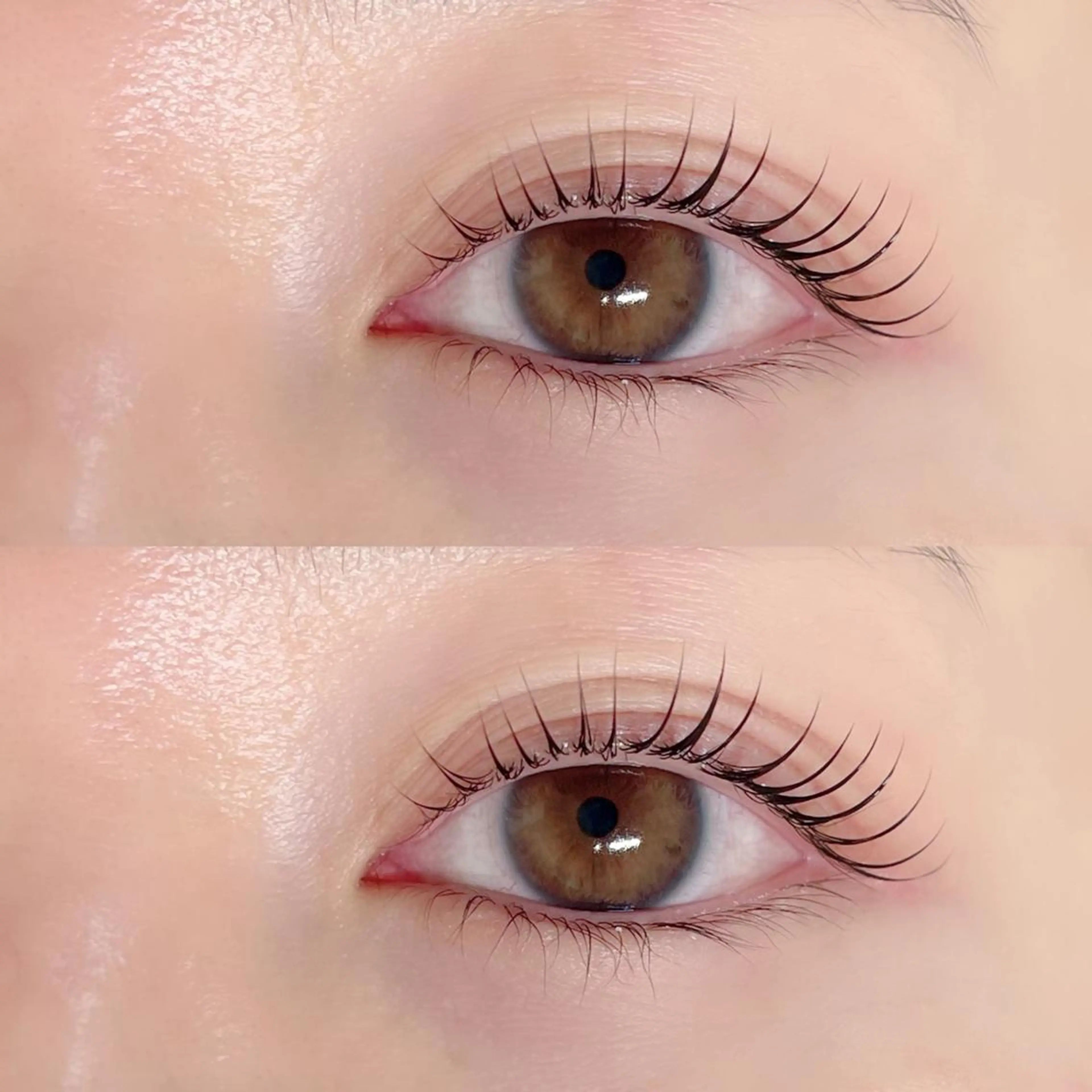 【新規】ラッシュリフト💗立ち上げ/カールなどお選びいただけます！の写真