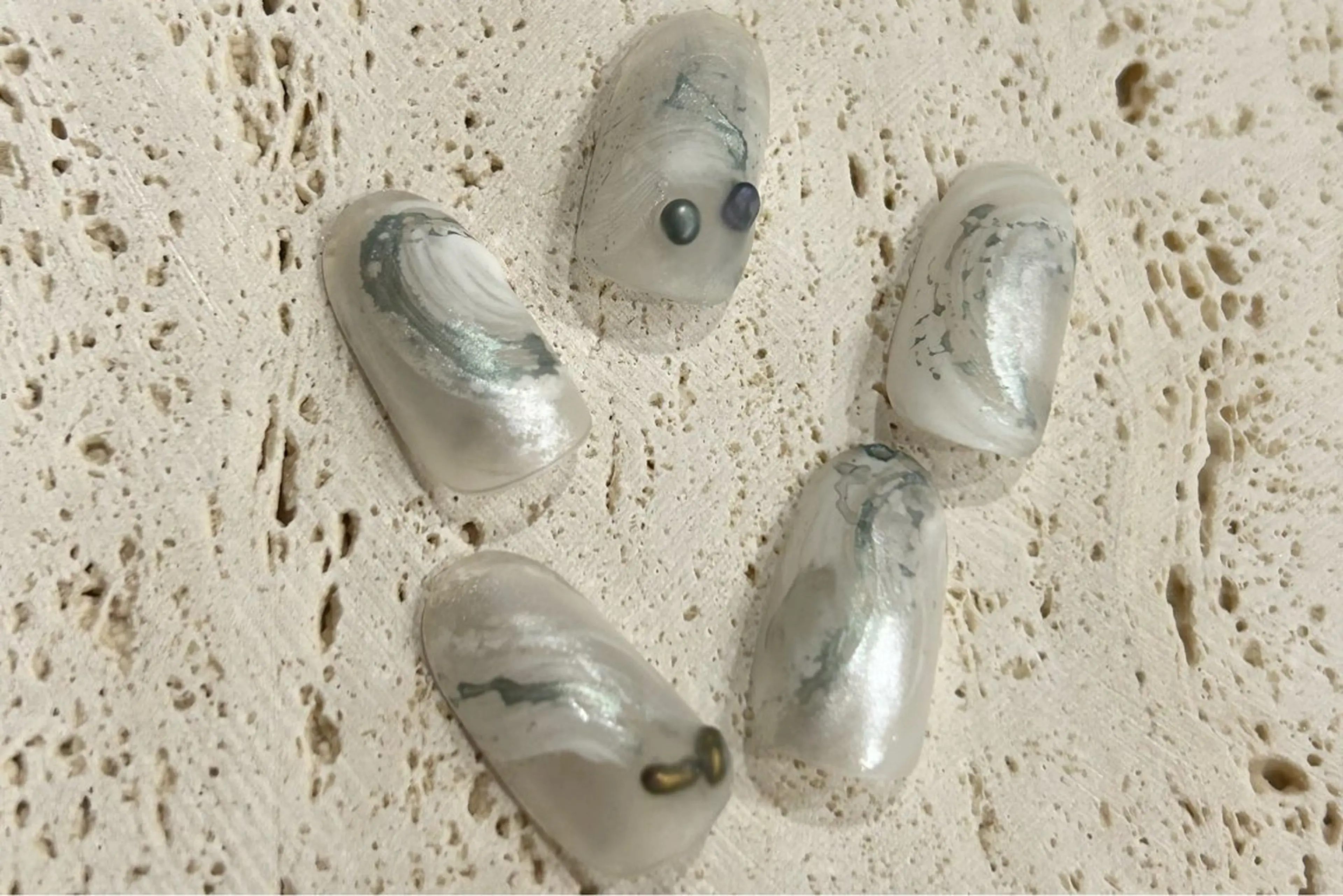 ネイル アートネイル ニュアンスネイル ハンドネイル cscnail keikoのその他イメージ