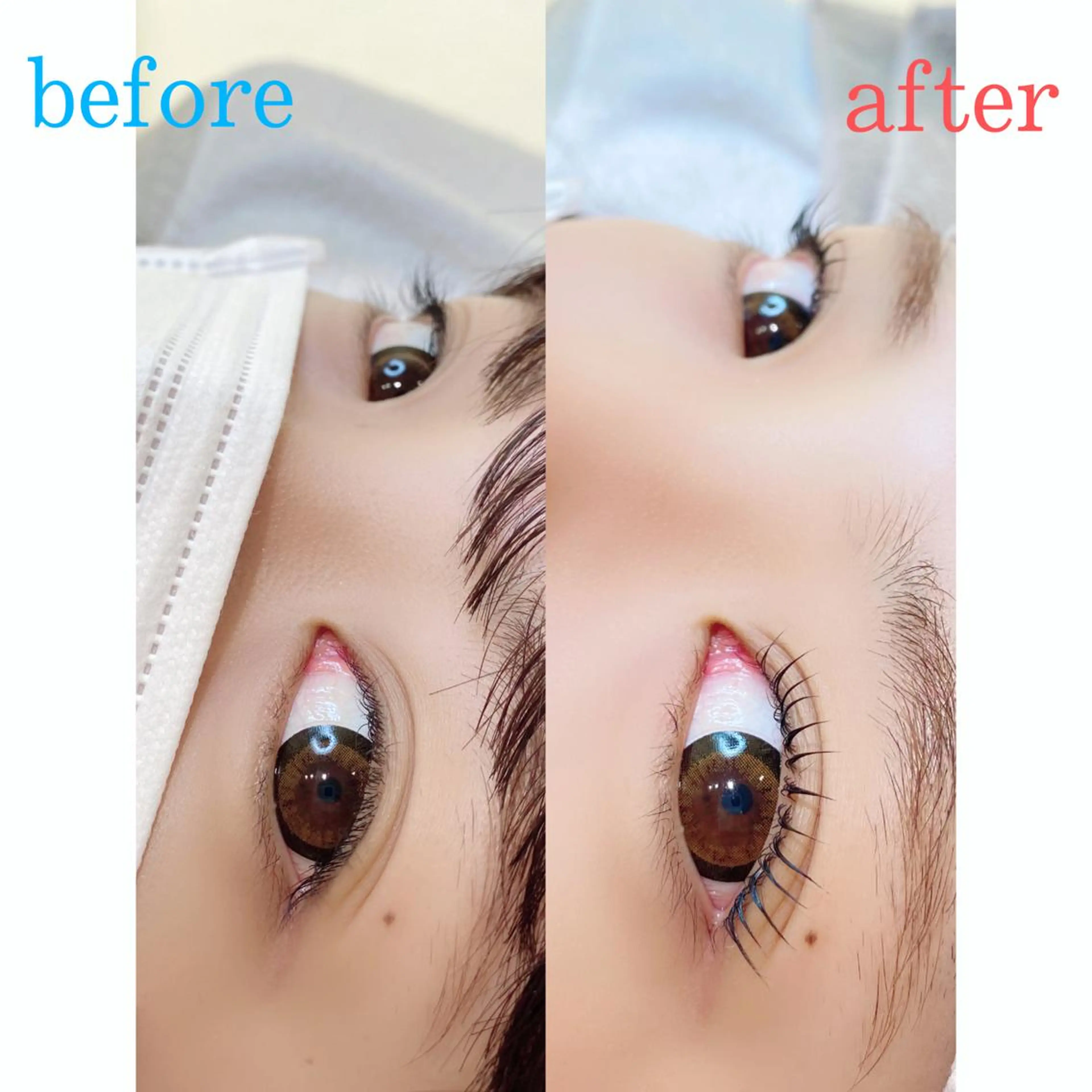 マツエク・マツパ パリジェンヌラッシュリフト batik湘南台店所属・batik 湘南台店 reinaのマツエク・マツパデザイン