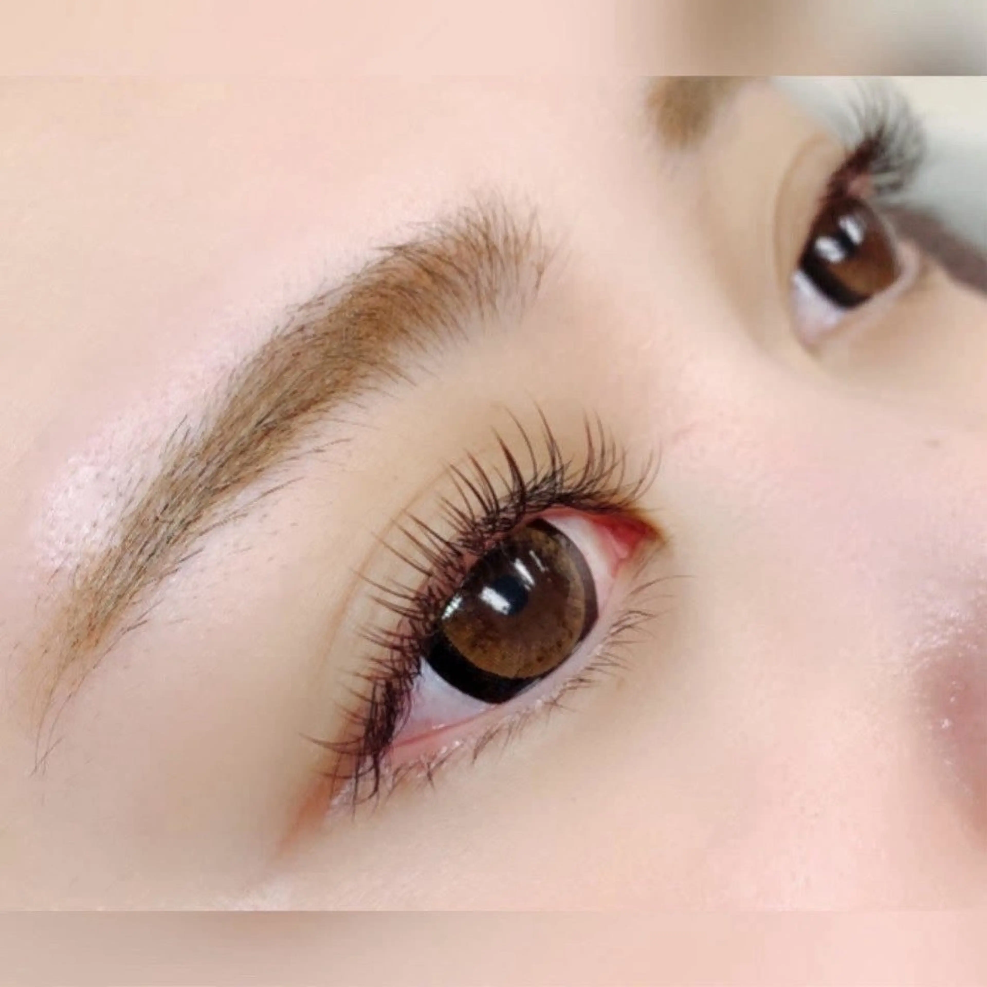 オフ無料🍀フラットマットラッシュ120本の写真