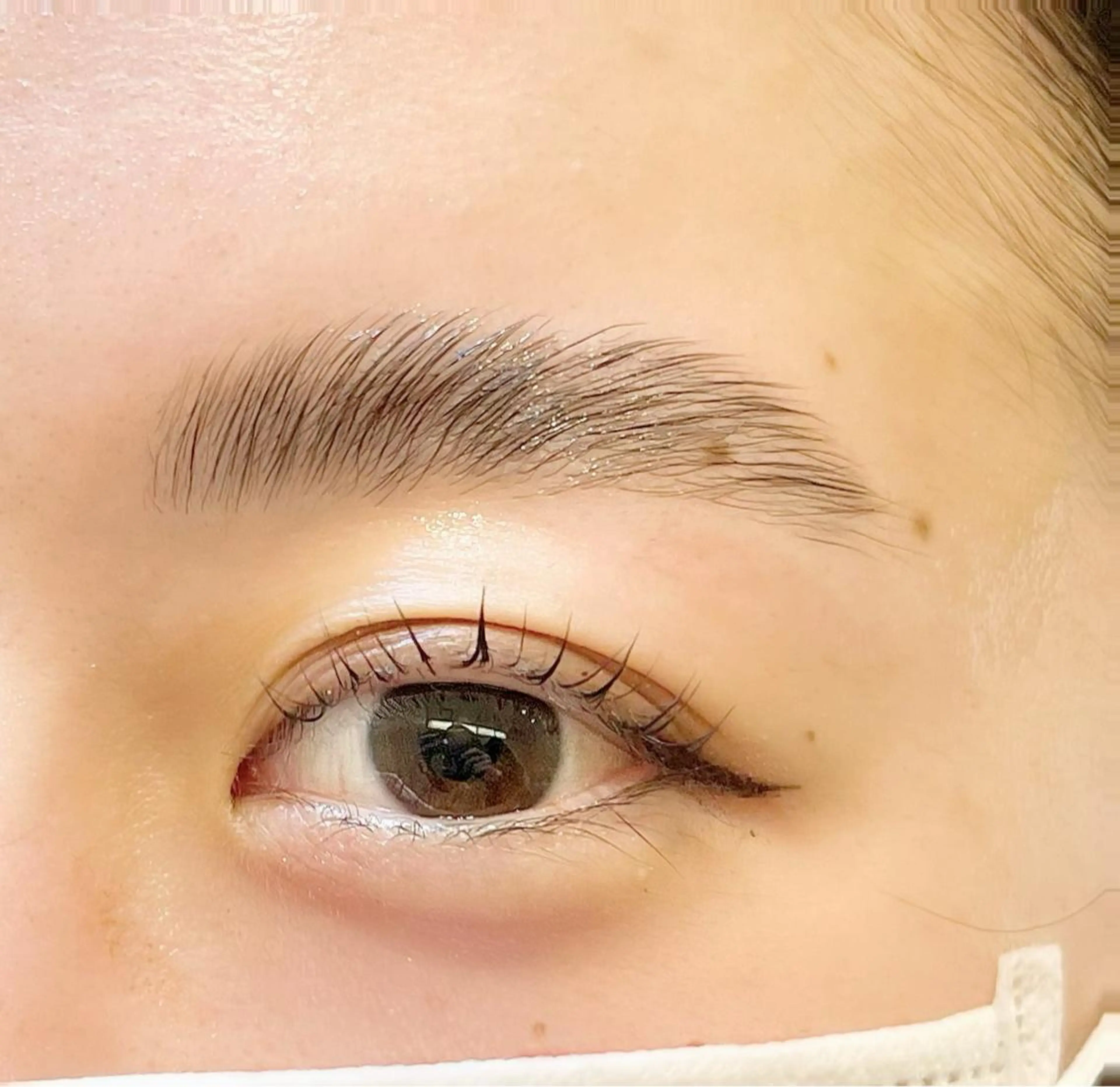 アイブロウ ハリウッドブロウリフト Cheri所属・きし かりんの眉毛・アイブロウイメージ