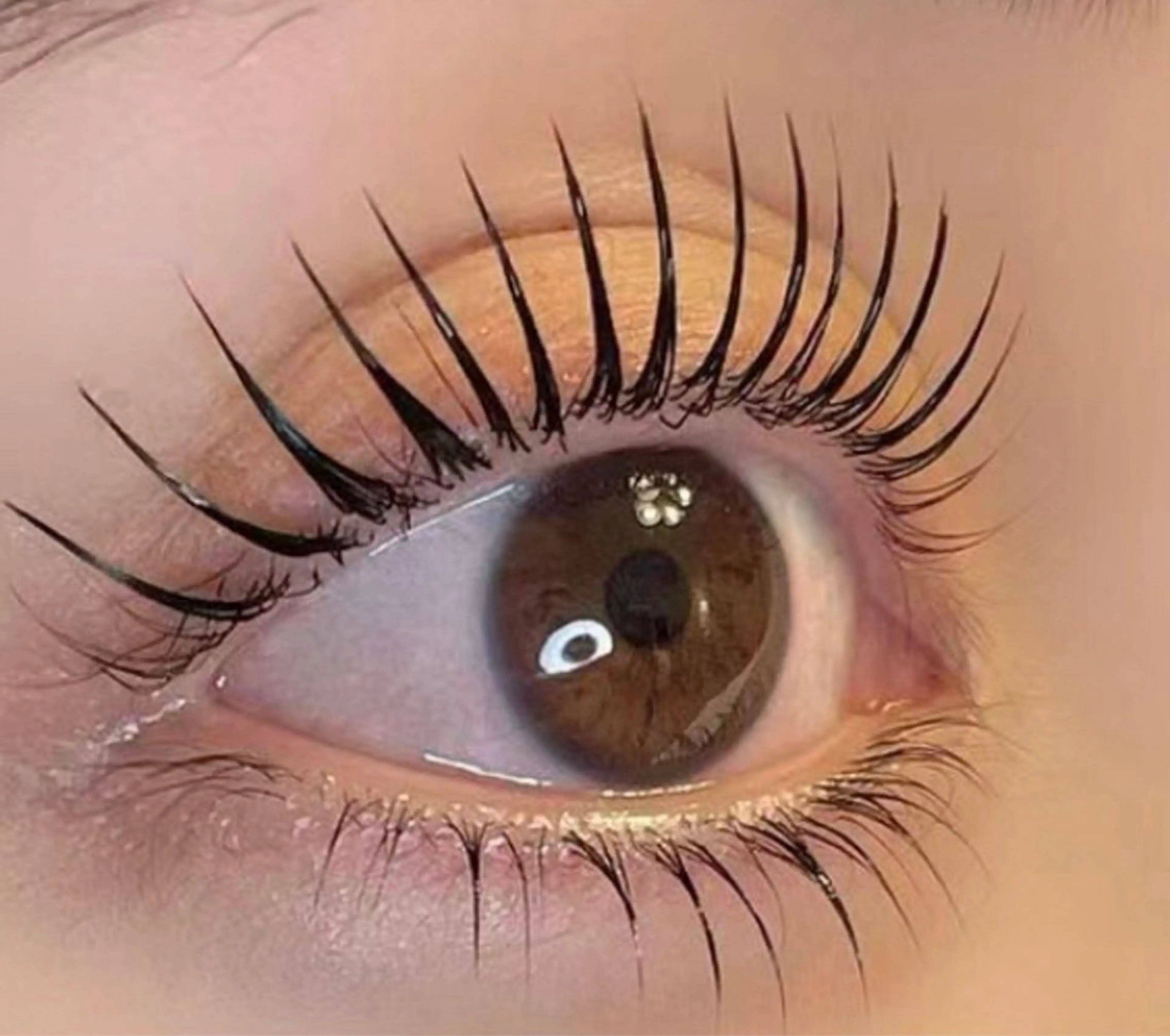 マツエク・マツパ まつげパーマ マツエク・まつ毛パーマ専門店　Cibelle茶屋町店【シベル】所属・Cibelle 茶屋町店のマツエク・マツパデザイン