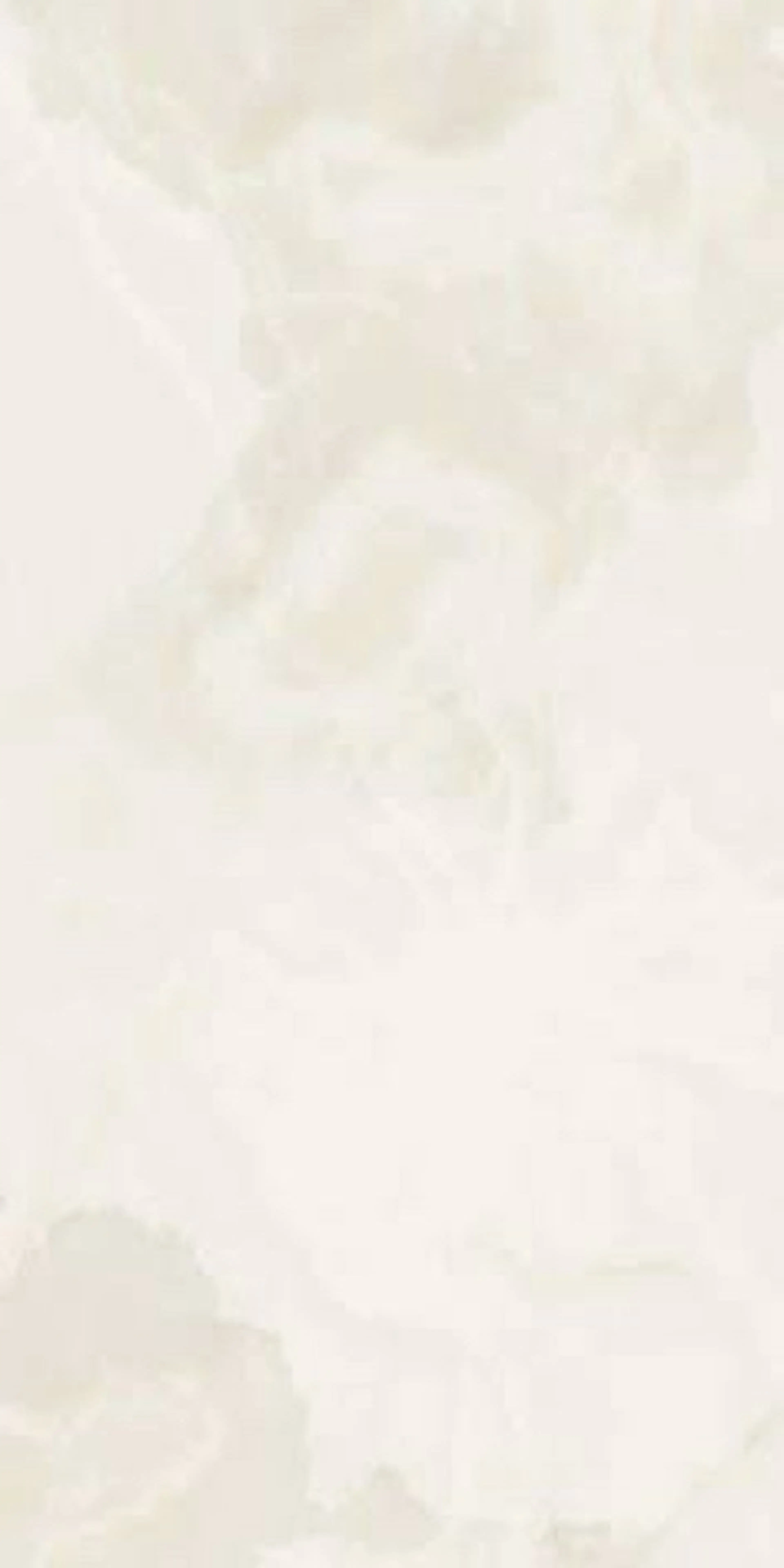 他店様オフのみ(ソフトジェル)の写真