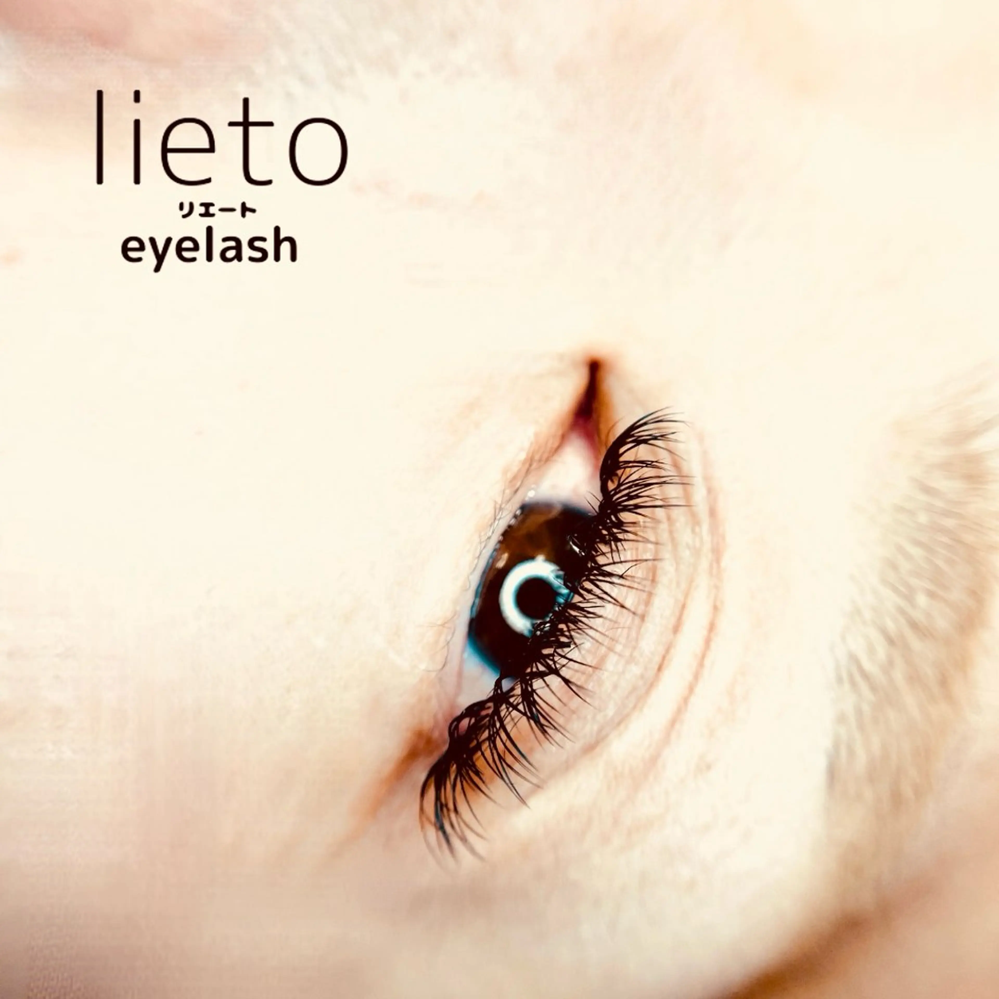 マットフラットラッシュ最大100本の写真