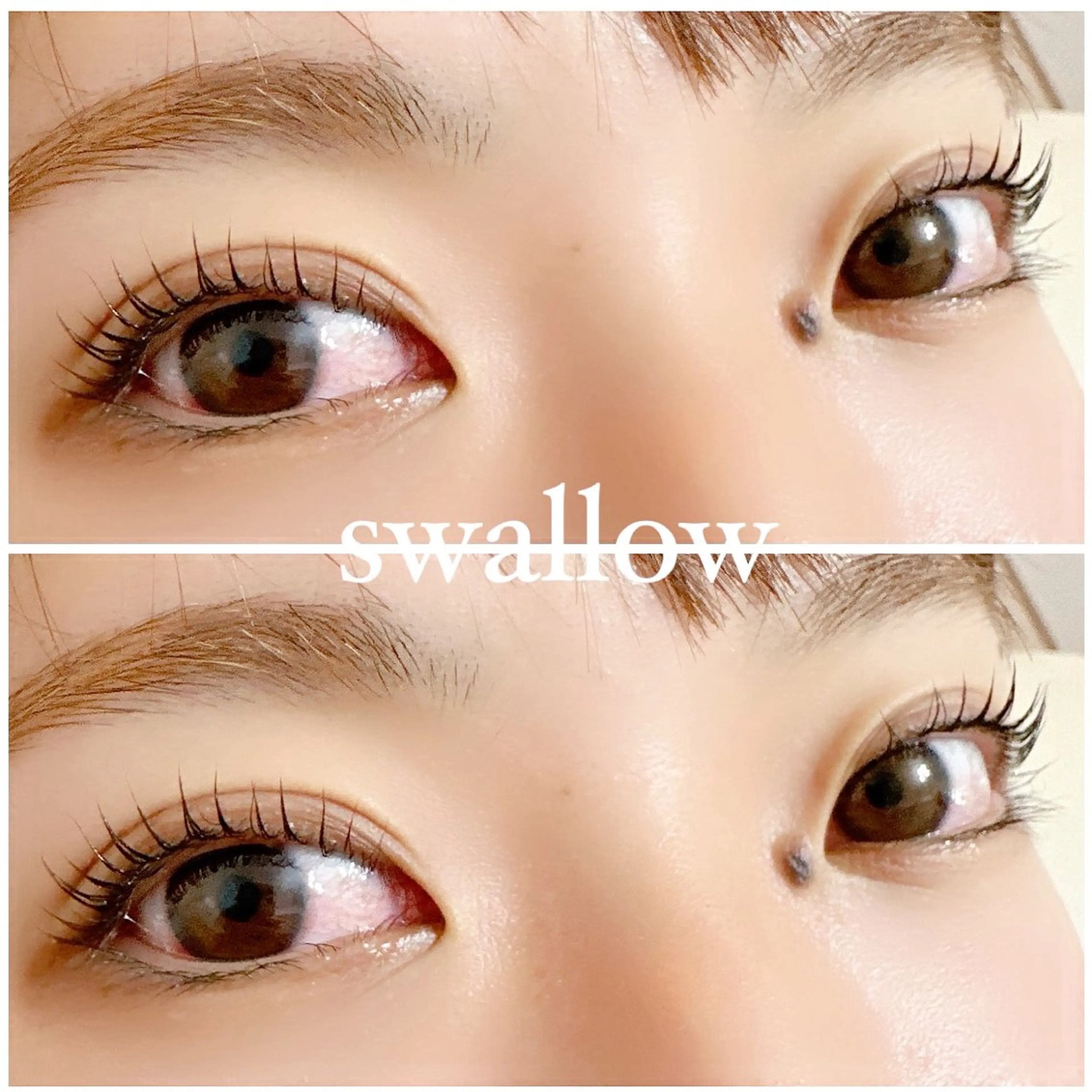 マツエク・マツパ Cカール 一重×まつ毛パーマ マツパ swallow 奈良西大寺店のマツエク・マツパデザイン