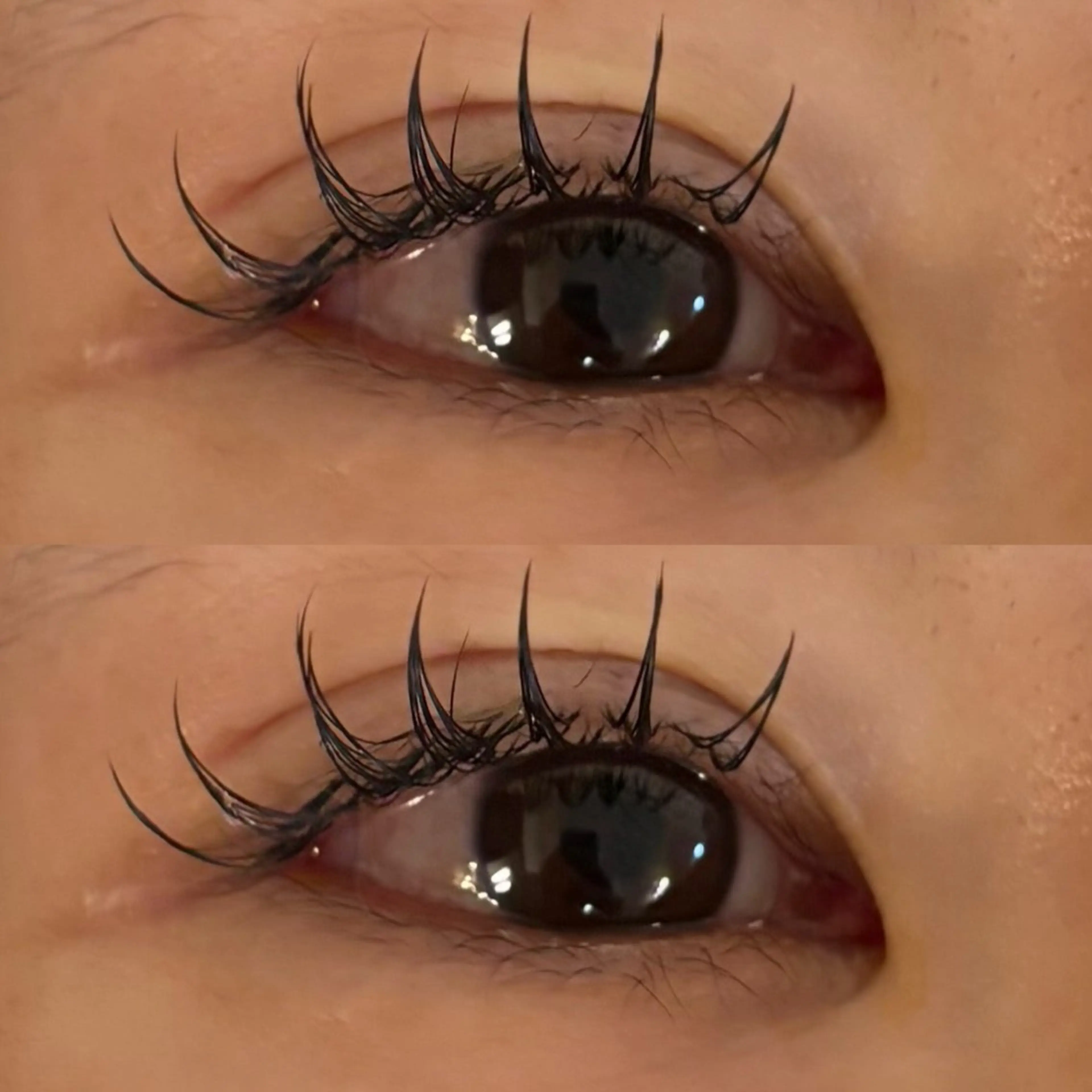 マツエク・マツパ CCカール Cカール フラットラッシュ 🍇chinatsu 🍇en Rêveのマツエク・マツパデザイン