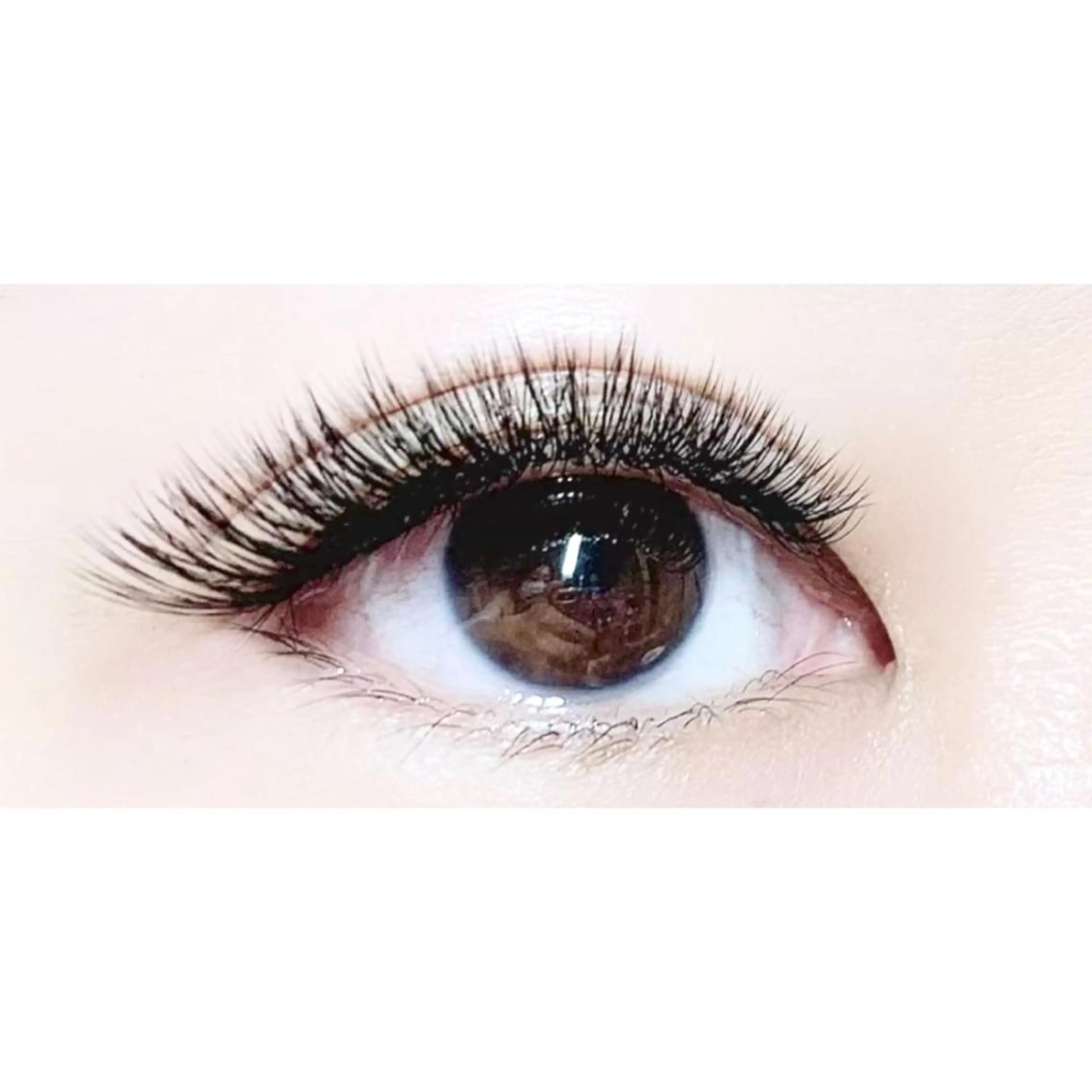 【無制限】4Dバインドラッシュorボリュームラッシュ【つけ放題】の写真