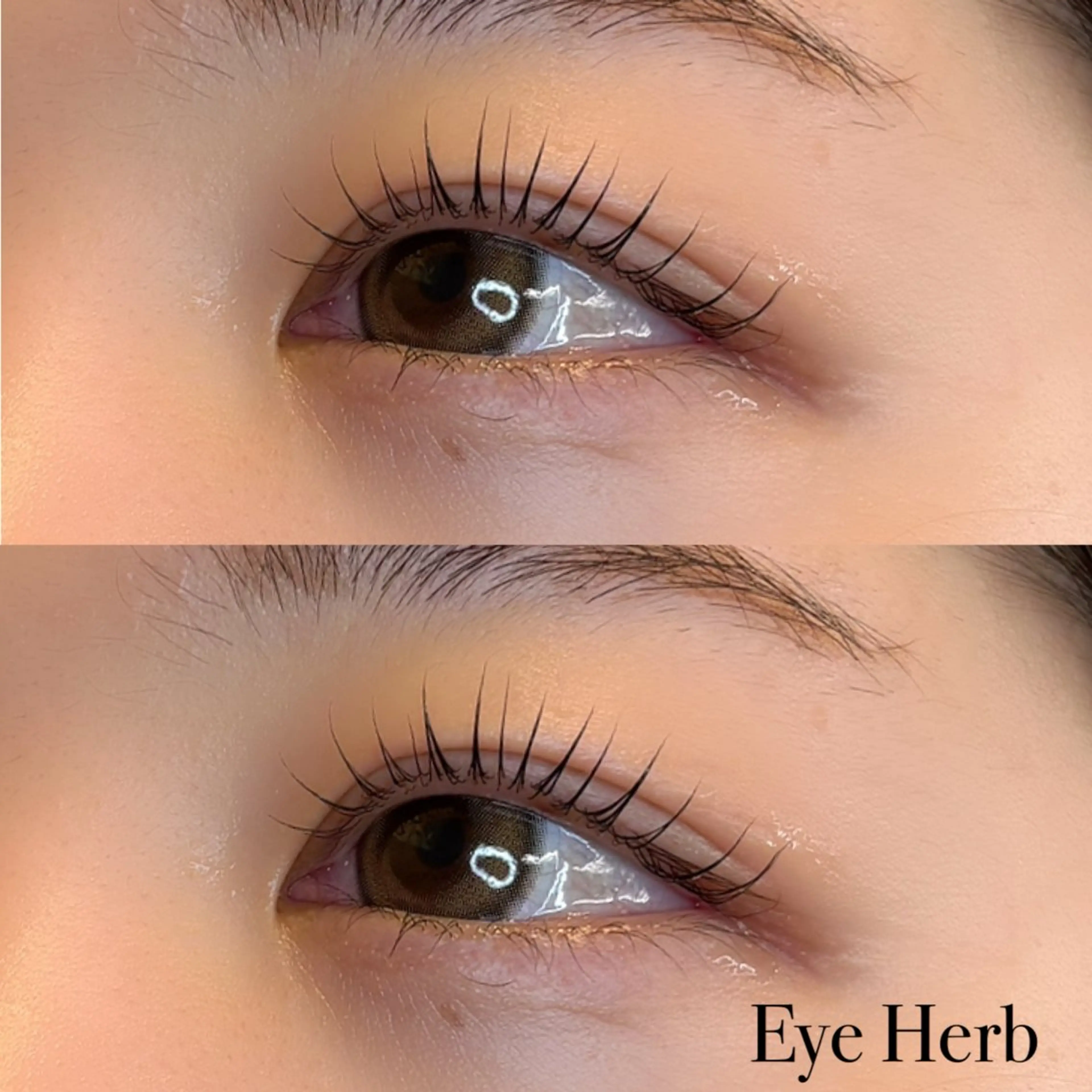 マツエク・マツパ パリジェンヌラッシュリフト Eye Herb beauty salon所属・♡ Mireiのマツエク・マツパデザイン