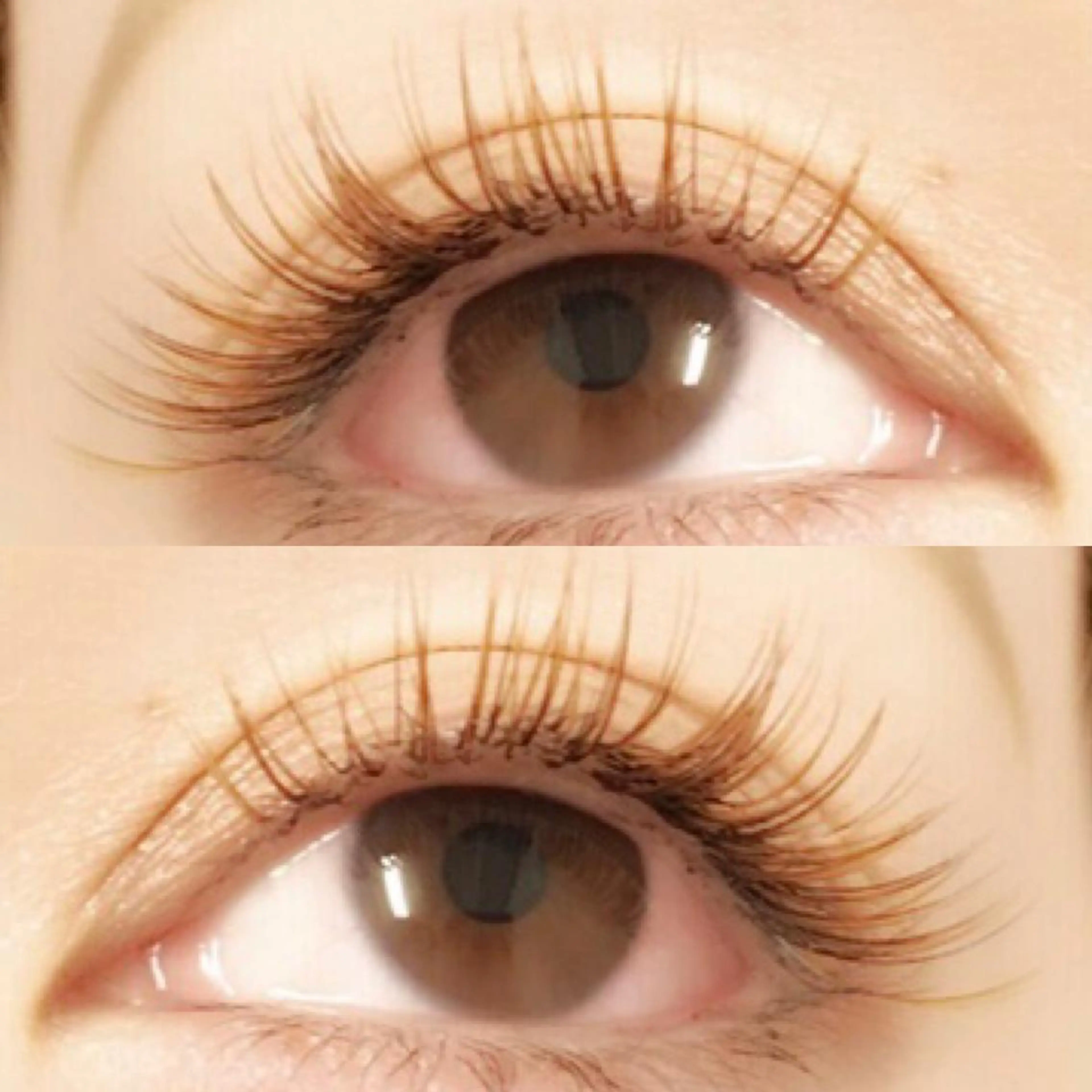 マツエク・マツパ Lanhr所属・【Lanhr】 🕊aya🕊のマツエク・マツパデザイン