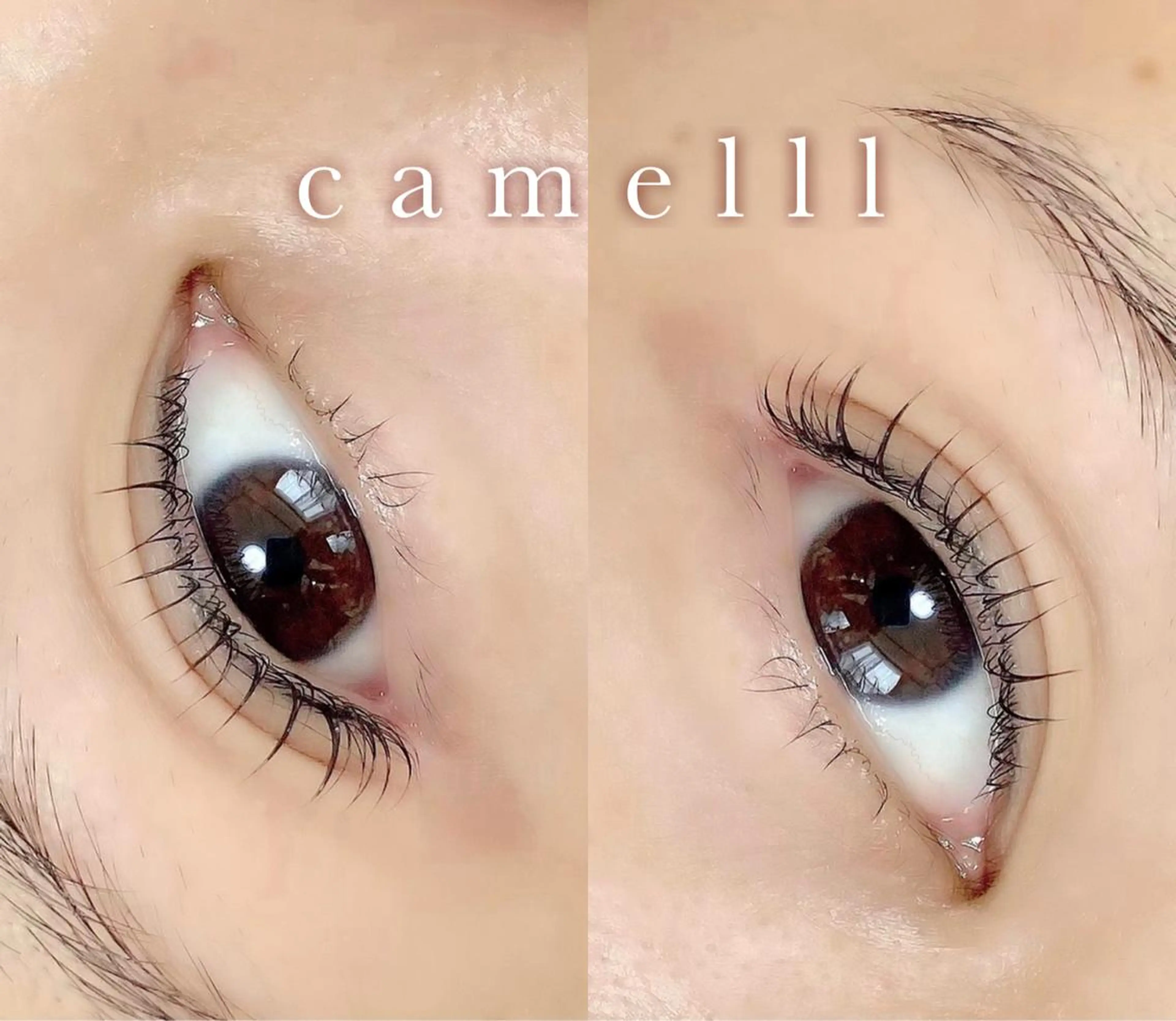 マツエク・マツパ 【那覇/束感まつ毛】 ｷｬﾒﾙのマツエク・マツパデザイン