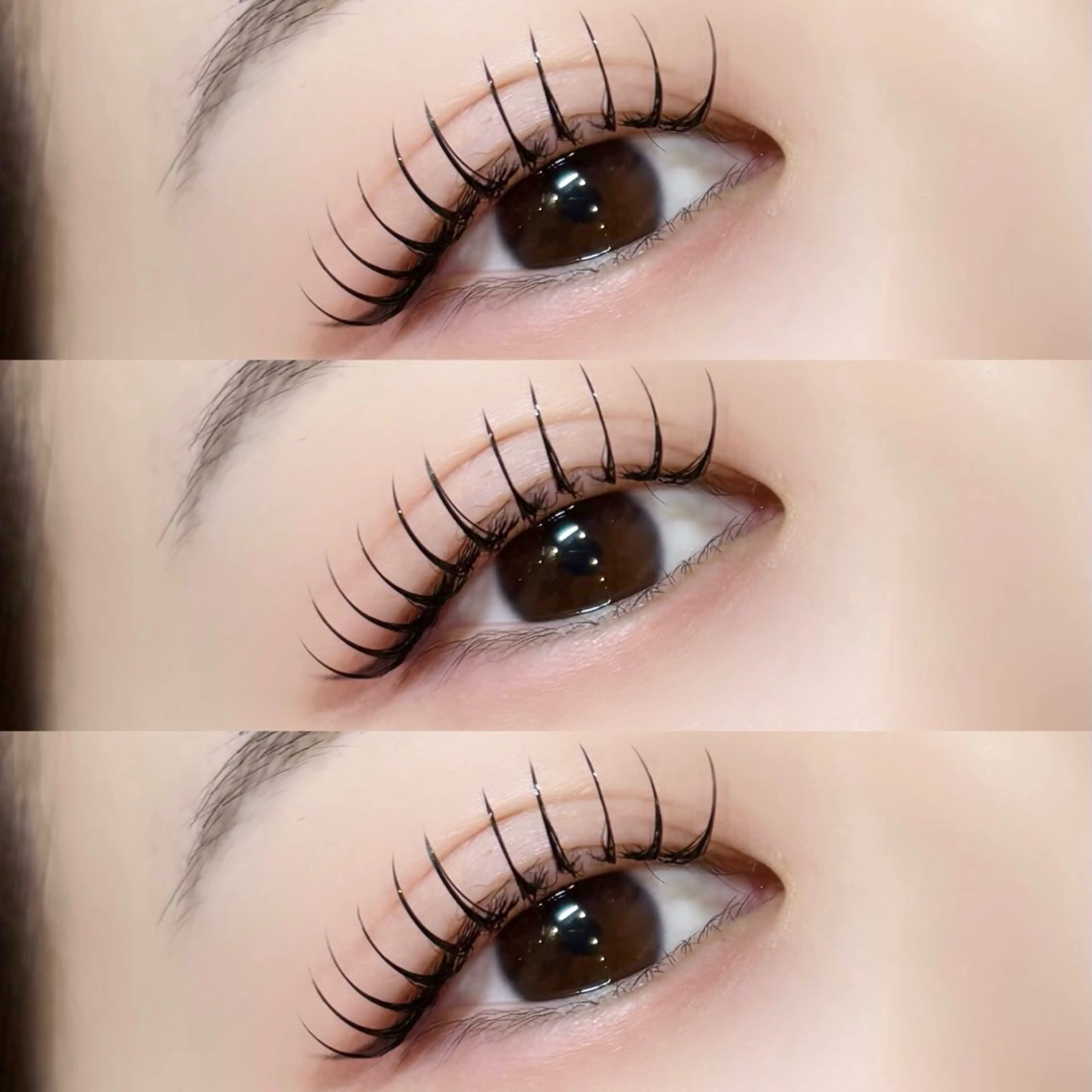 フラットラッシュ120本(オフ込み)の写真