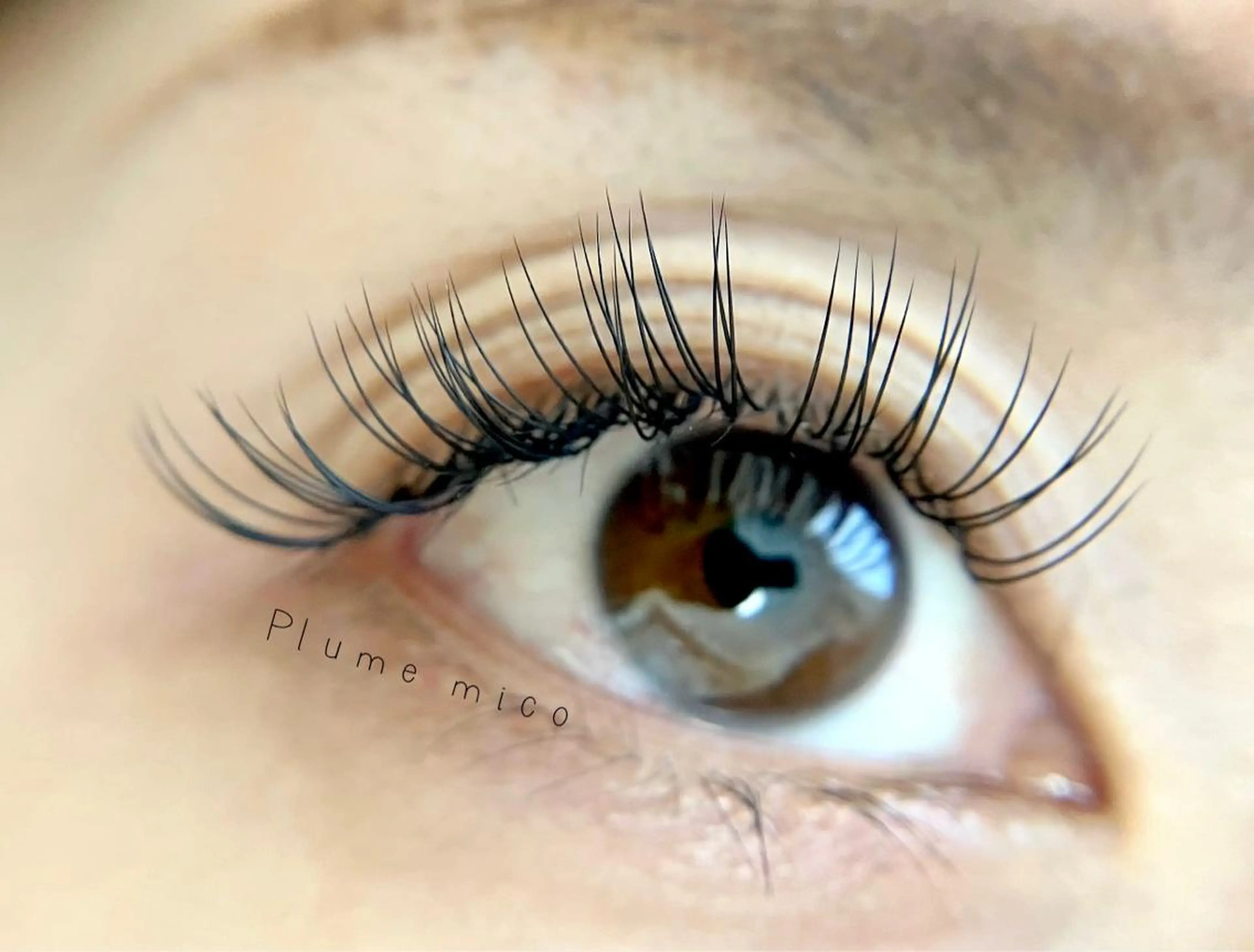 マツエク・マツパ マツエク Plume micoのマツエク・マツパデザイン