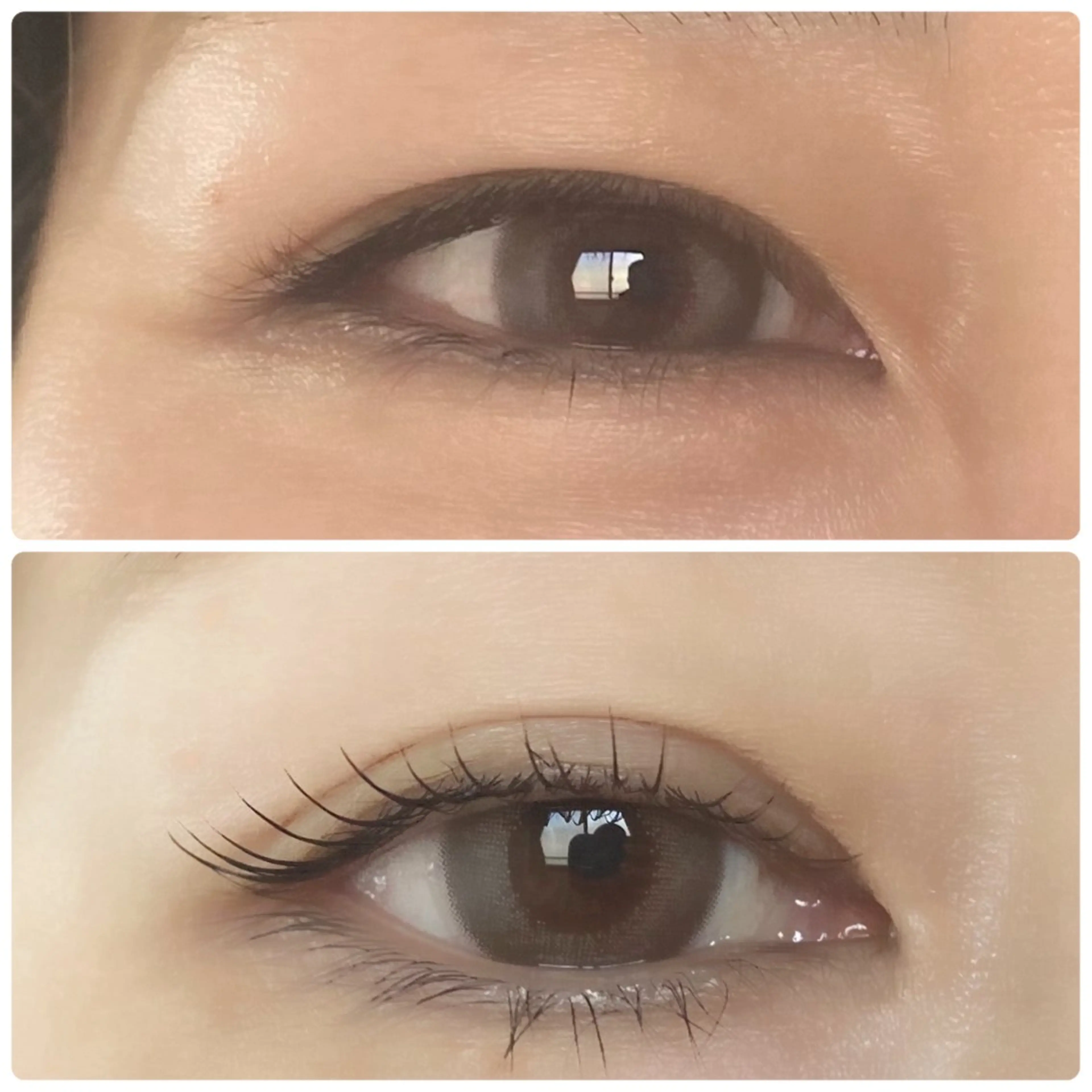 マツエク・マツパ マツパ magi 宇都宮店 本多まほ🌼の眉毛・アイブロウイメージ