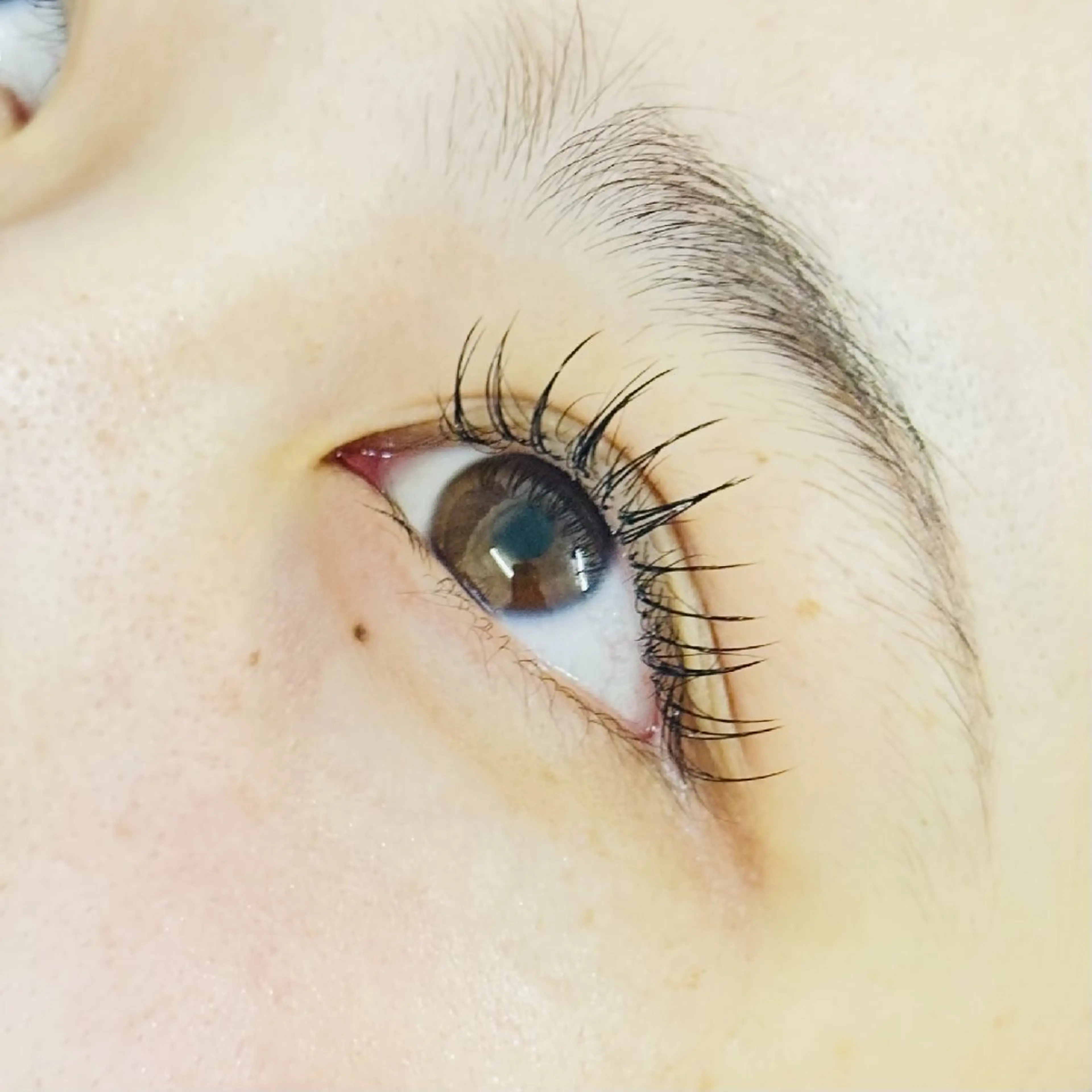 マツエク・マツパ マツエク on .のマツエク・マツパデザイン