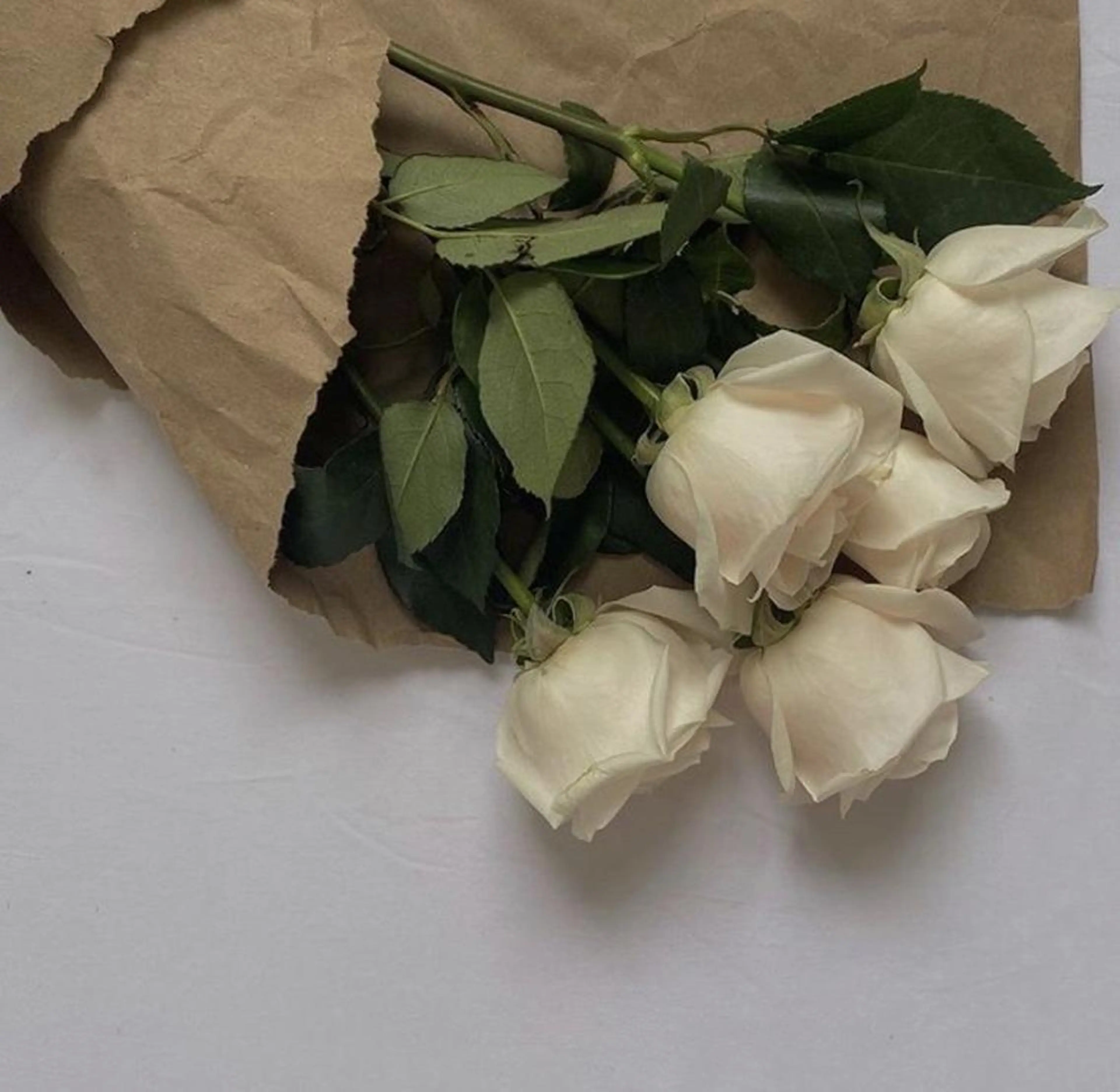 マツエク・マツパ miien(SALONVILLAGE内)所属・MOE /渋谷・明治神宮前のマツエク・マツパデザイン