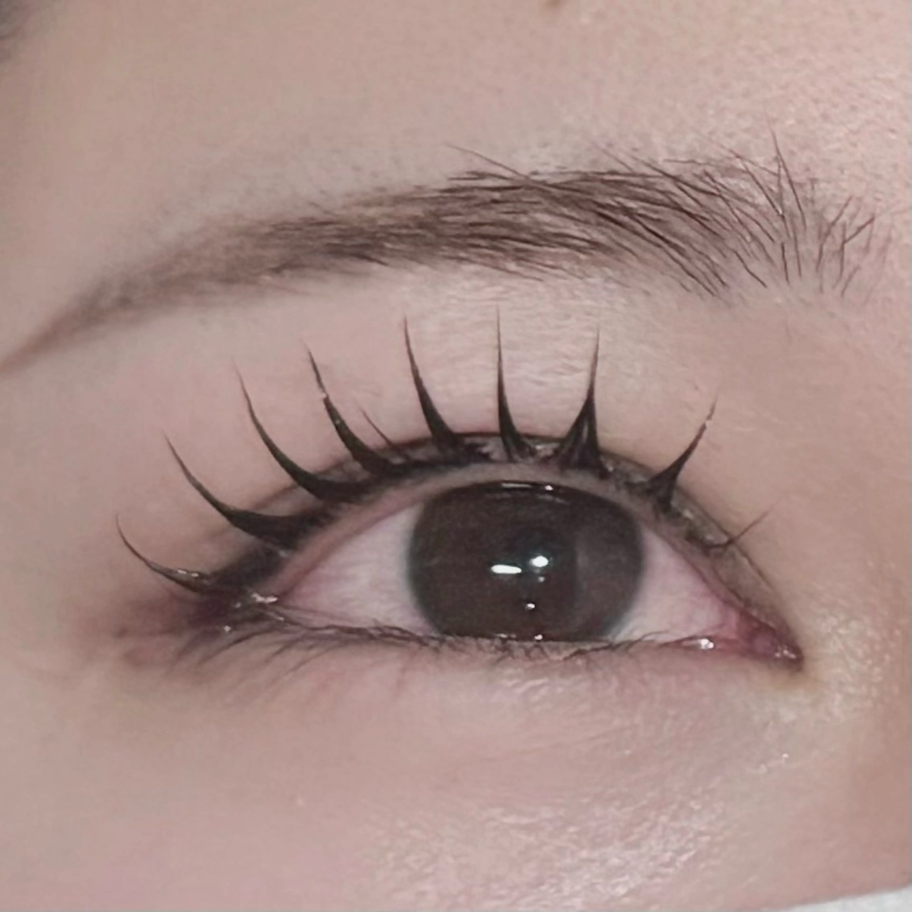 マツエク・マツパ マツパ e&和歌山市駅前店 ユメのマツエク・マツパデザイン