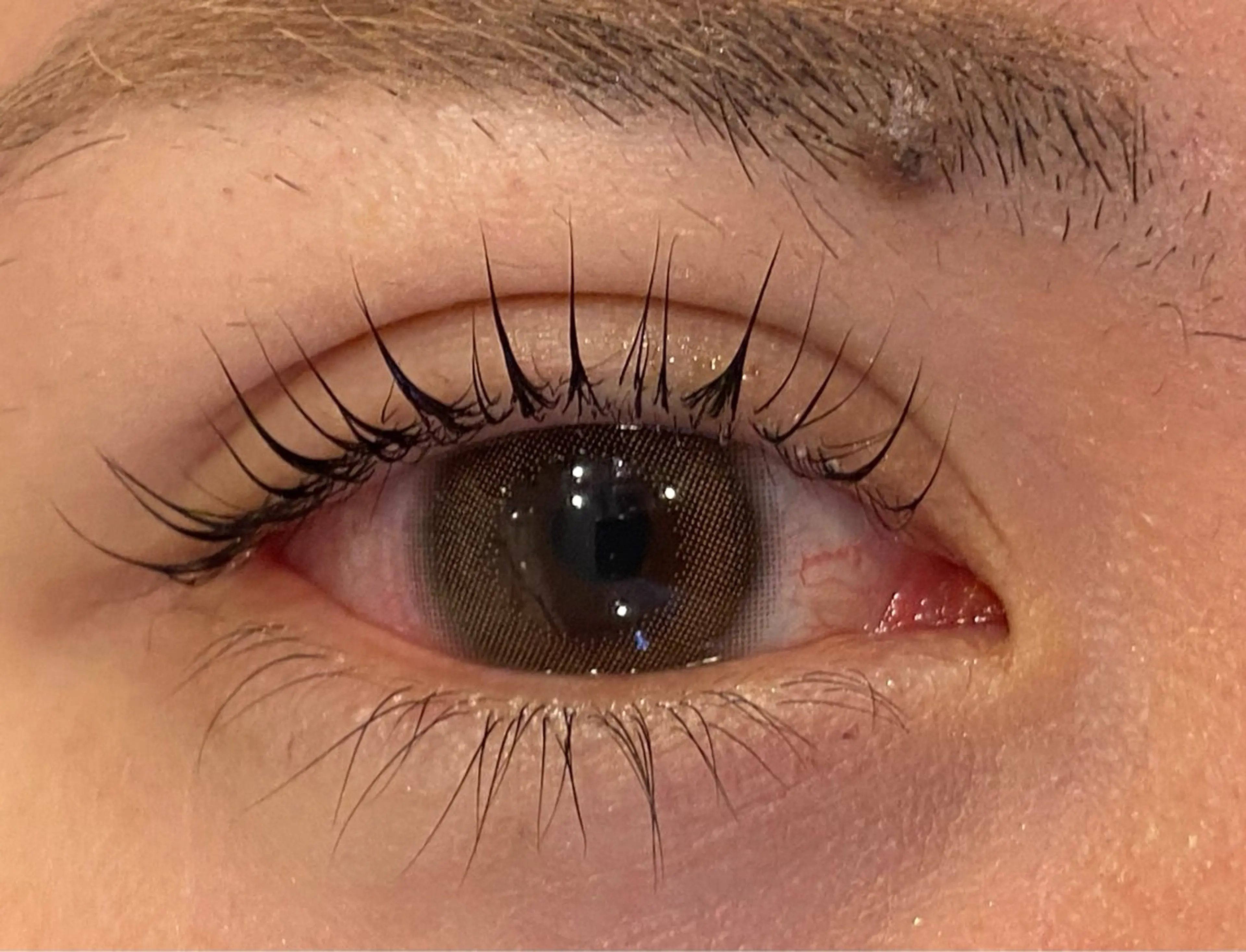 マツエク・マツパ パリジェンヌラッシュリフト Daisy lash 京橋店堀井のマツエク・マツパデザイン