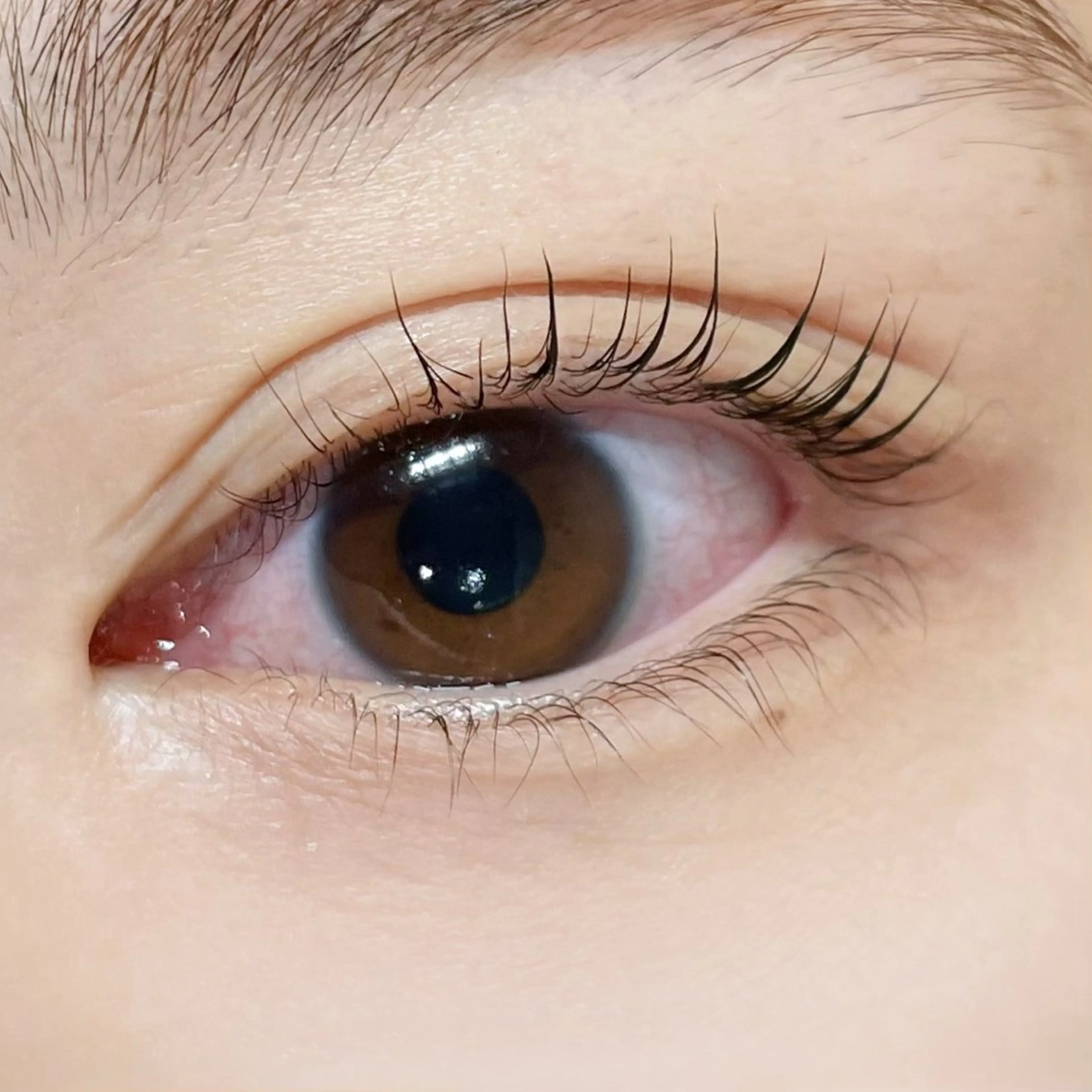 マツエク・マツパ マツパ 櫻井 怜華のマツエク・マツパデザイン