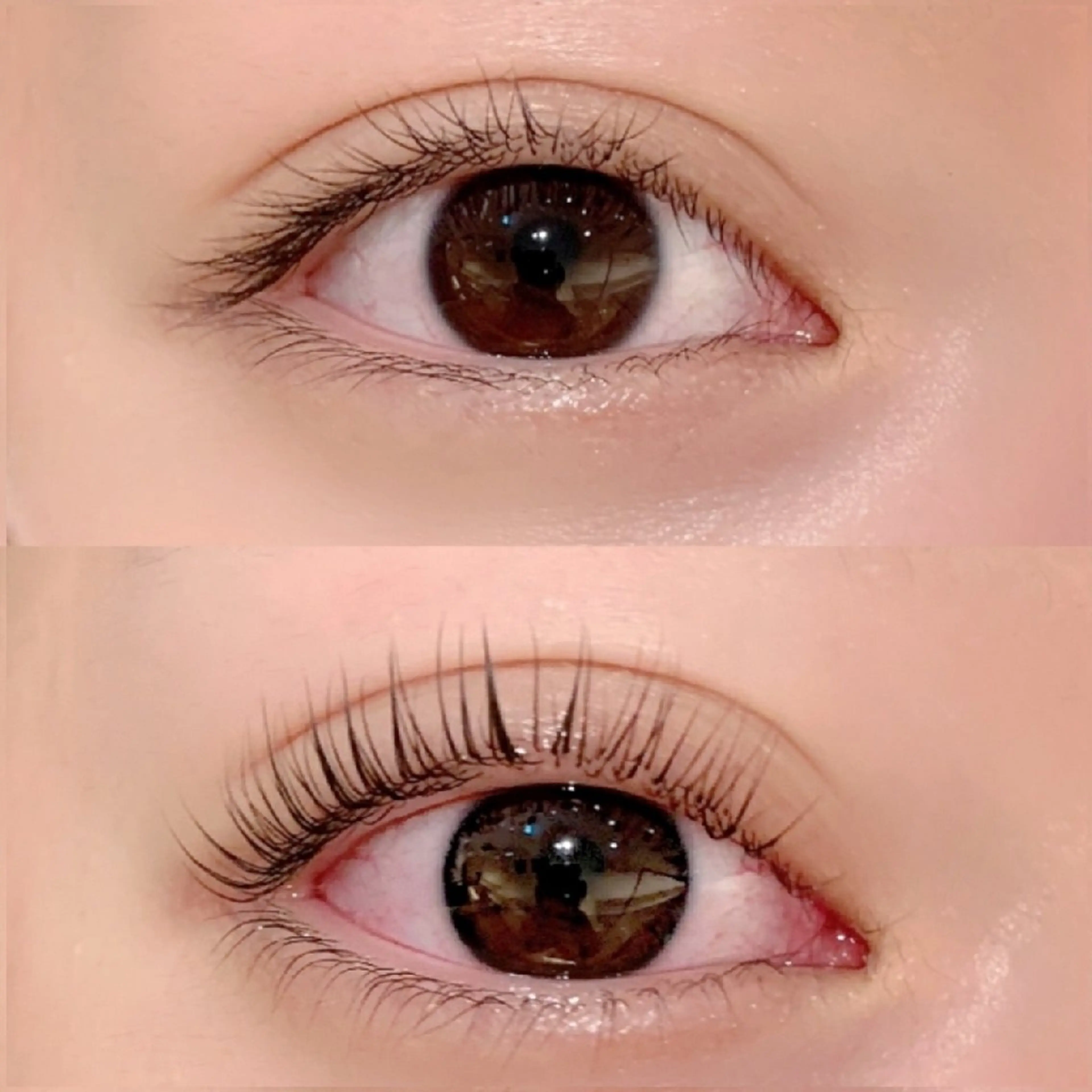 🎀ご新規様限定🎀上下まつ毛パーマクーポンの写真