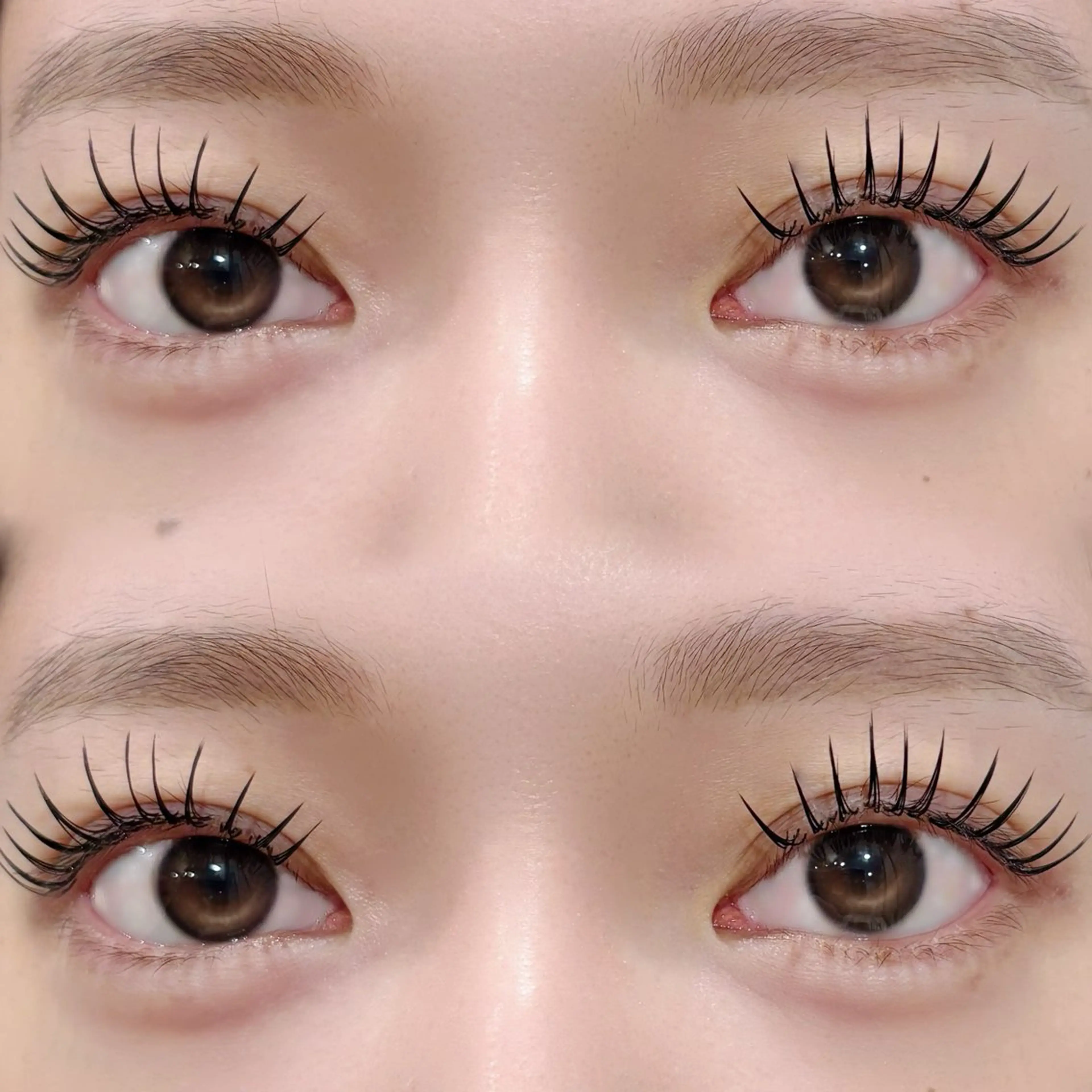 マツエク・マツパ Lカール マツエク OLIVIA GINZA前川のマツエク・マツパデザイン