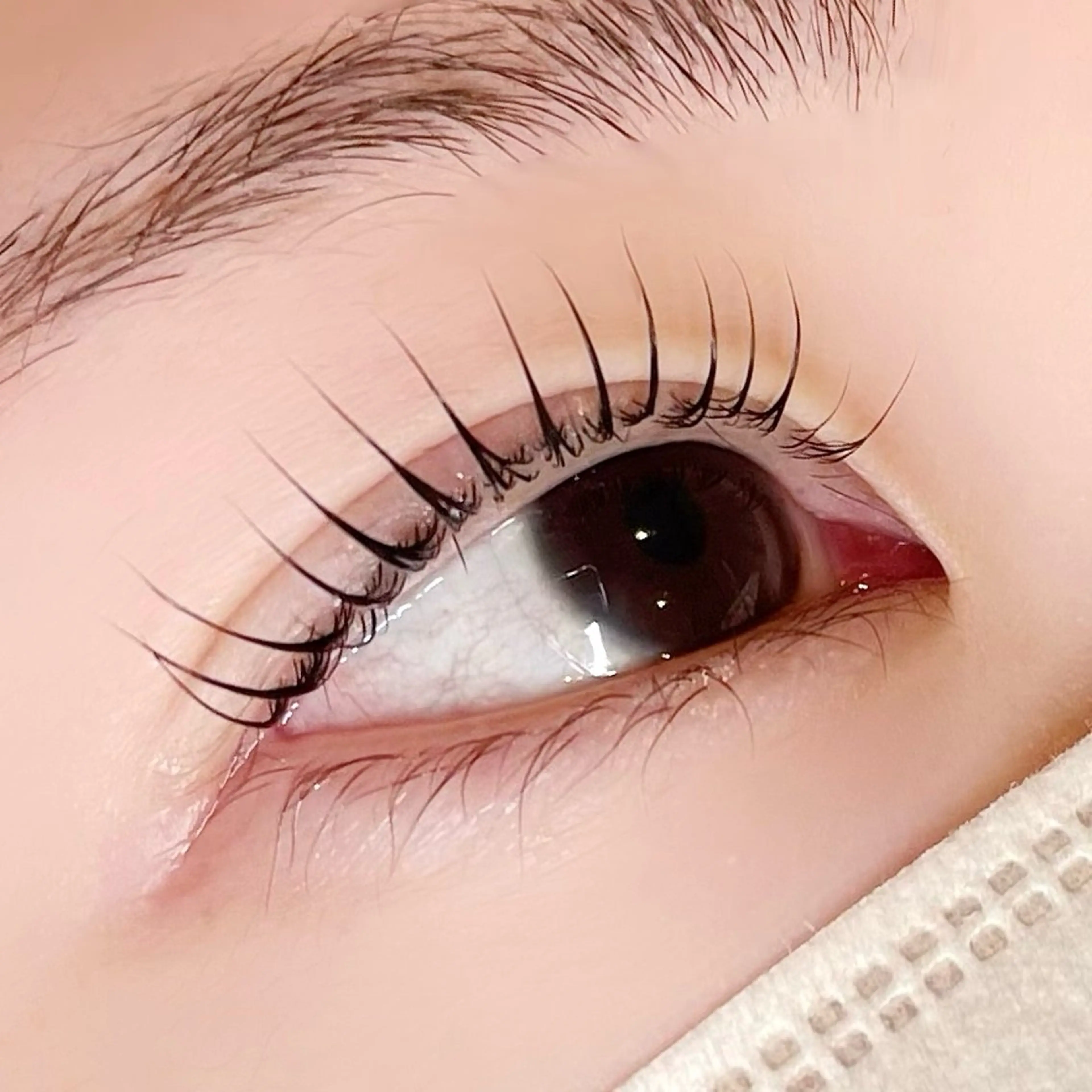 マツエク・マツパ マツパ Luo / メグロモモカのマツエク・マツパデザイン