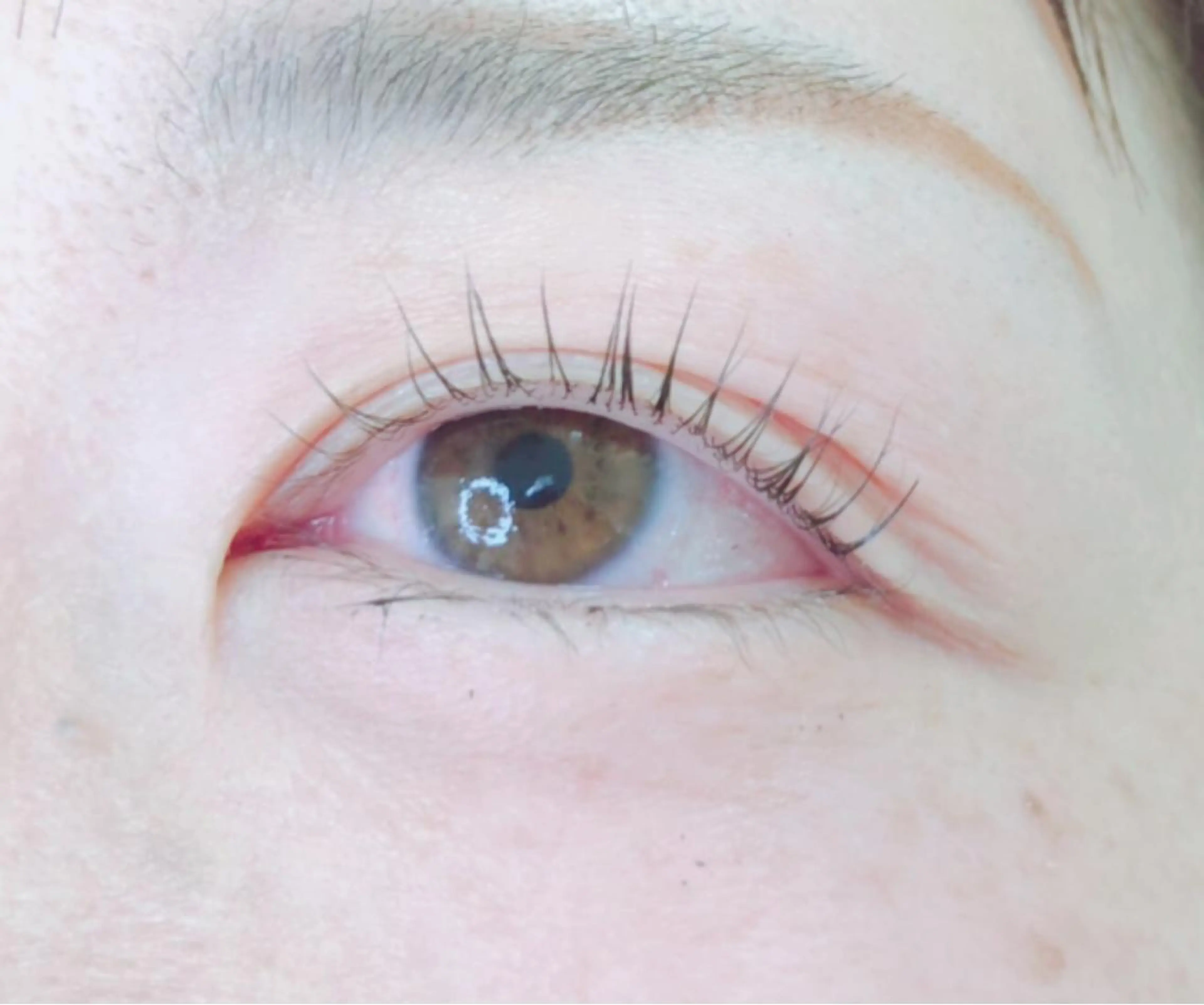 マツエク・マツパ バービーラッシュリフト マツパ 美容室BOY所属・Oshima Shizukaの眉毛・アイブロウイメージ