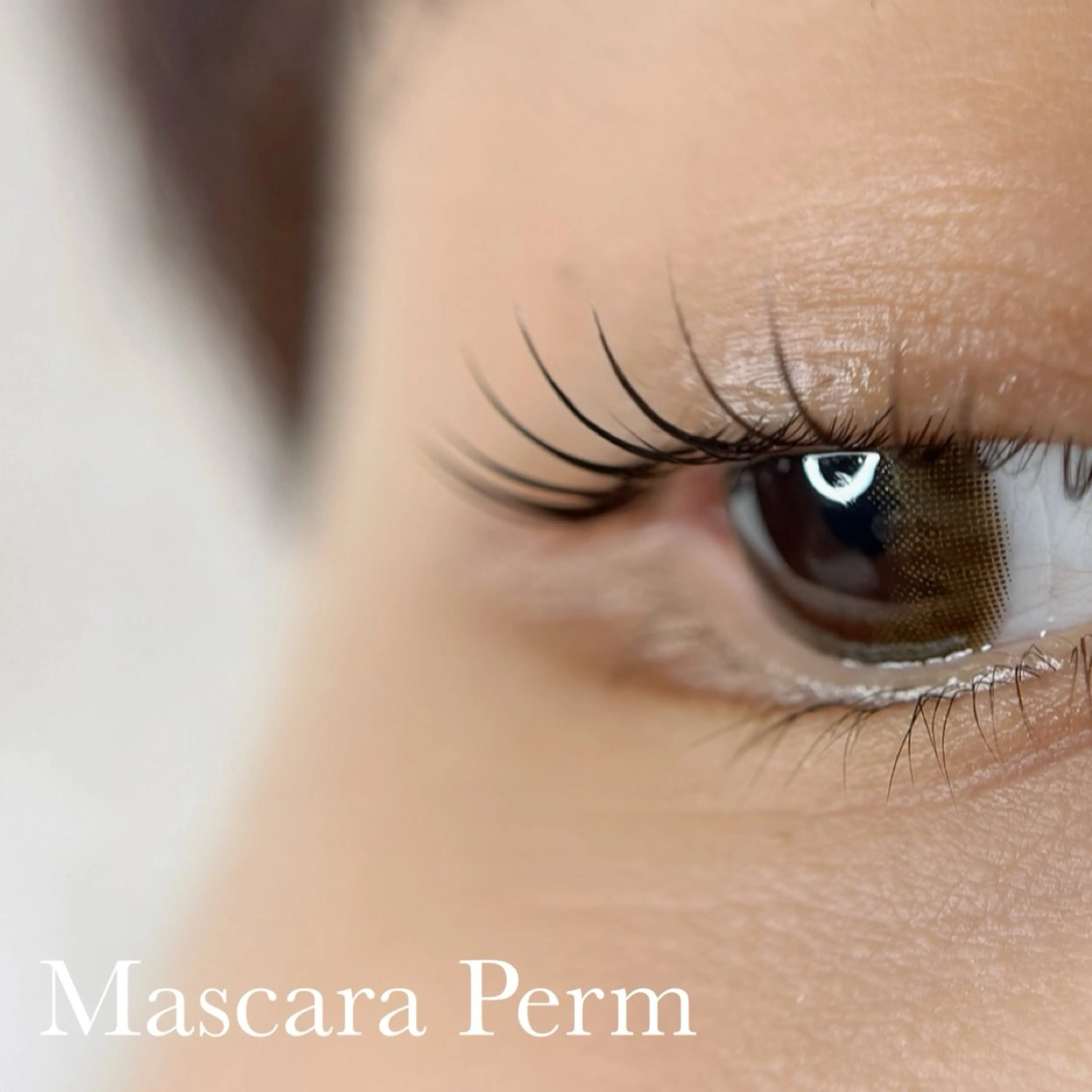 マツエク・マツパ 一重×まつ毛パーマ 骨格美眉ブロウリスト SHOKOの眉毛・アイブロウイメージ