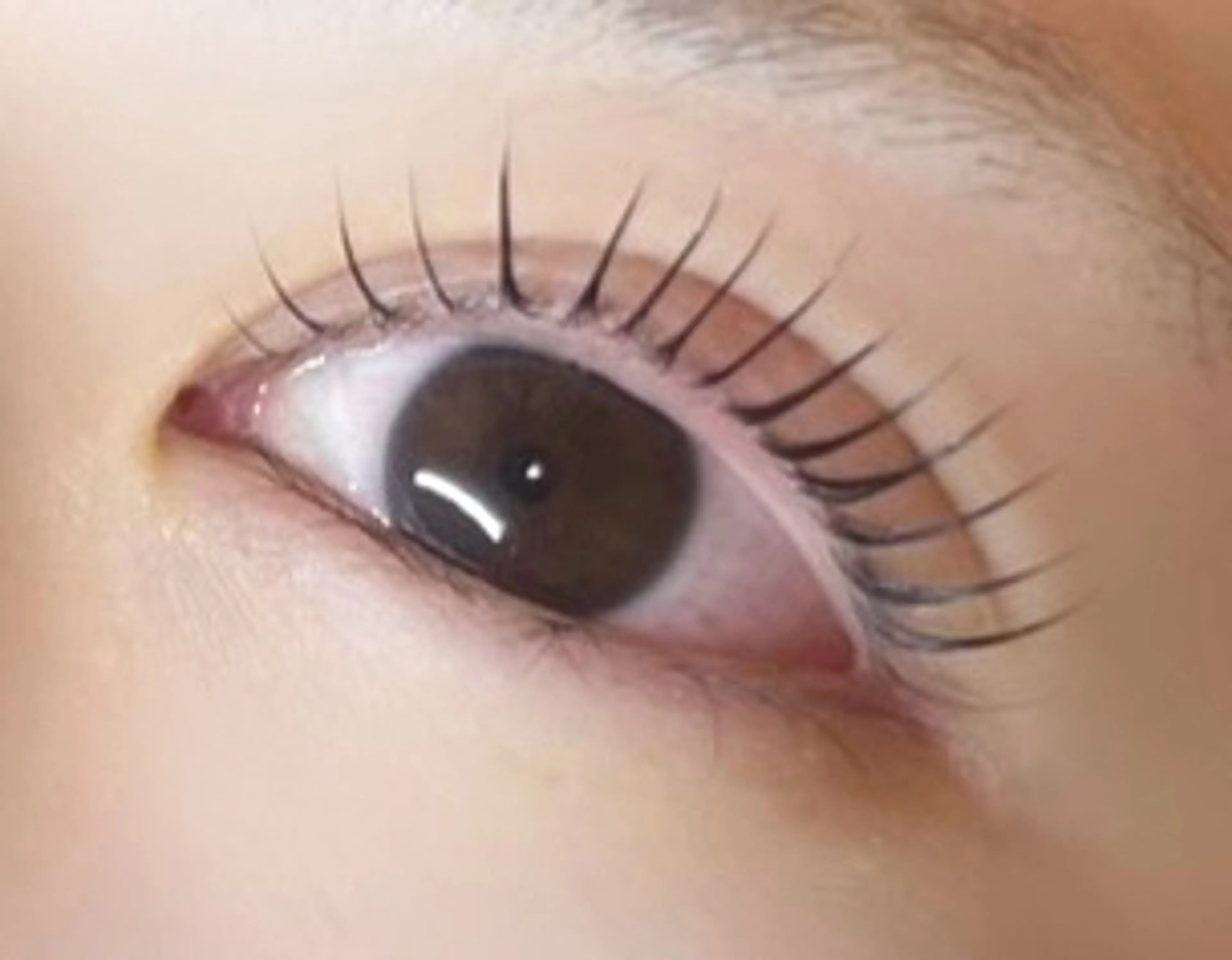 ✨2月限定✨まつ毛パーマの写真