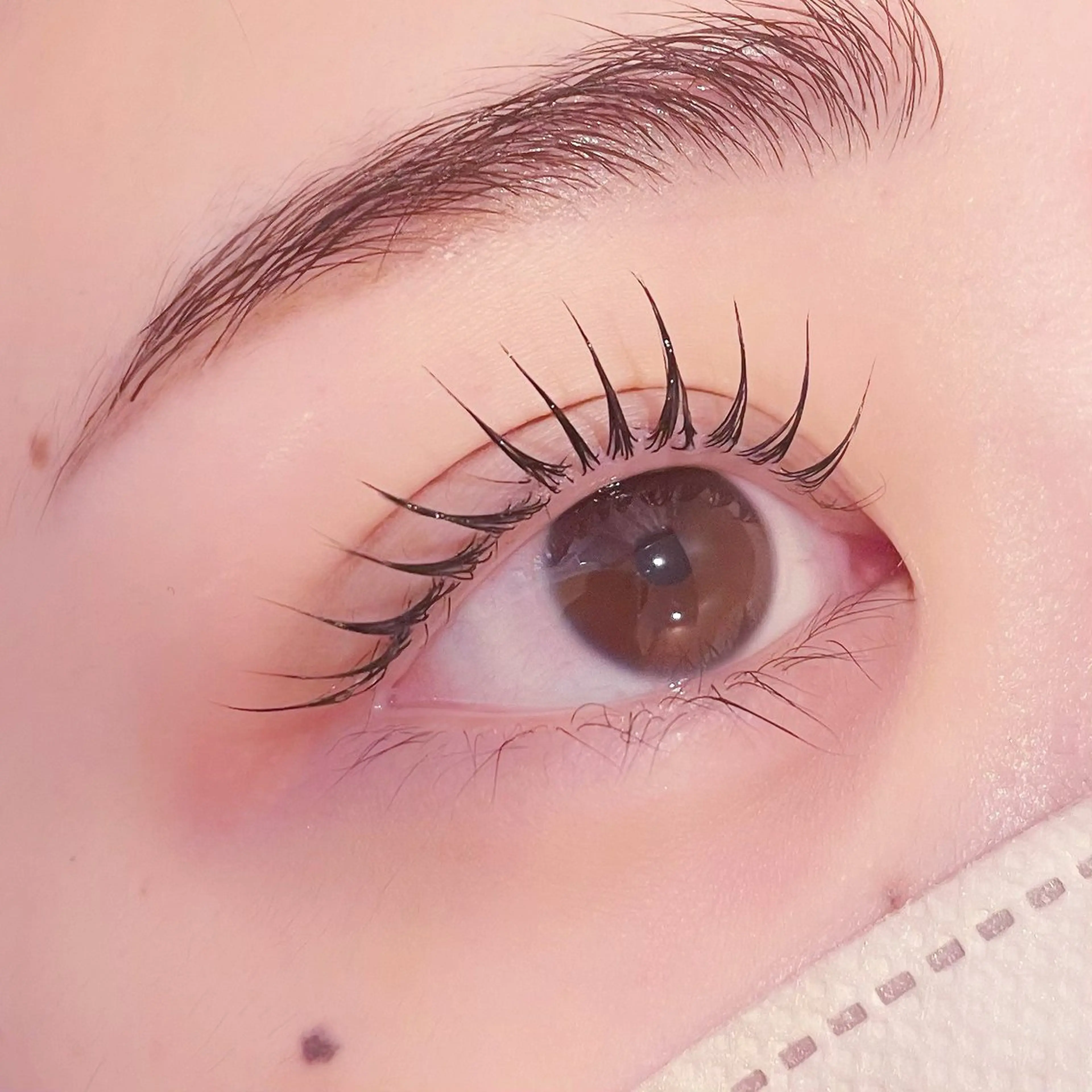 マツエク・マツパ pono大宮東口店 店長🩰AOHA🩰のマツエク・マツパデザイン