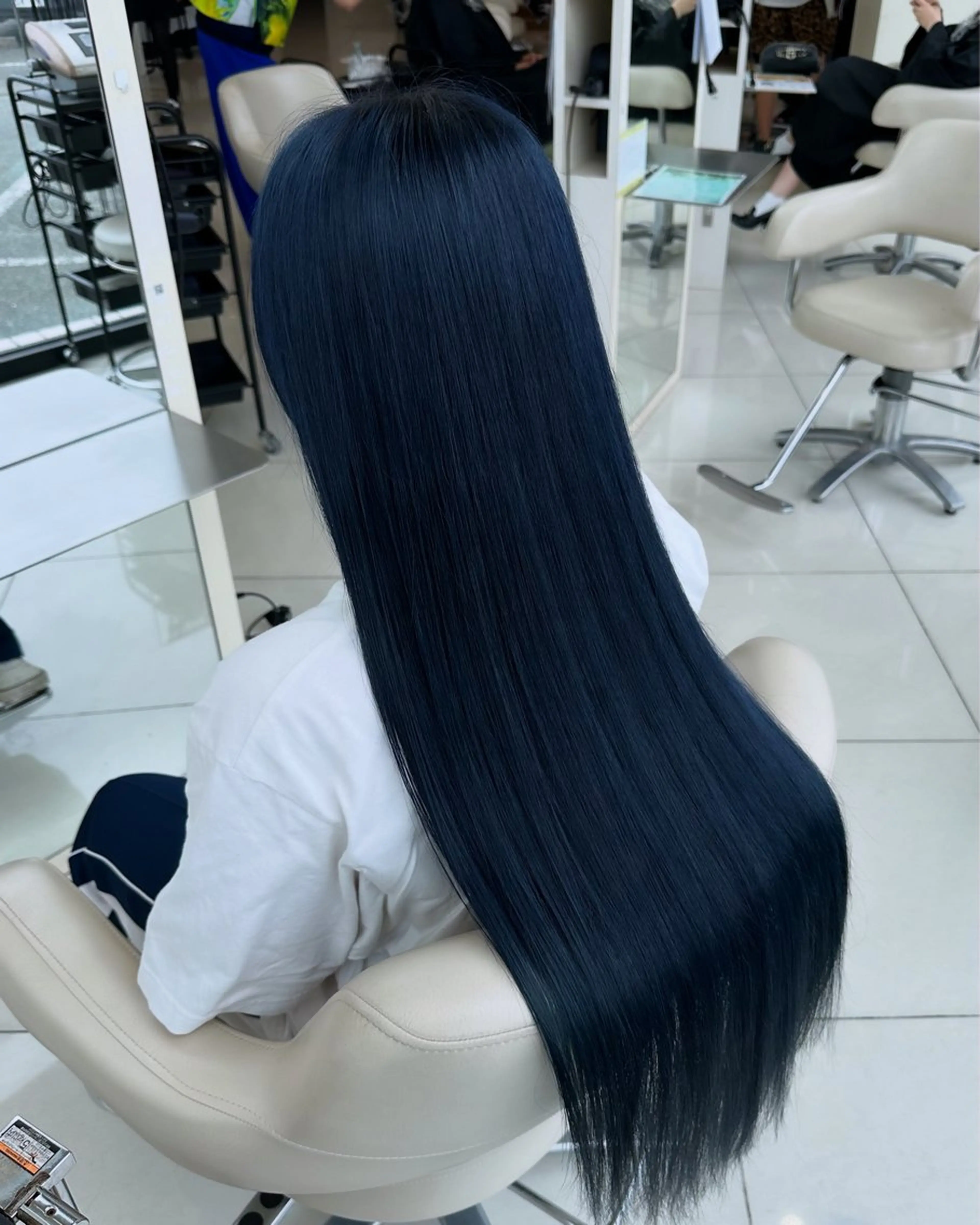 ロング カラー ハイトーン / 浜松 / フェルナンダのヘアスタイル