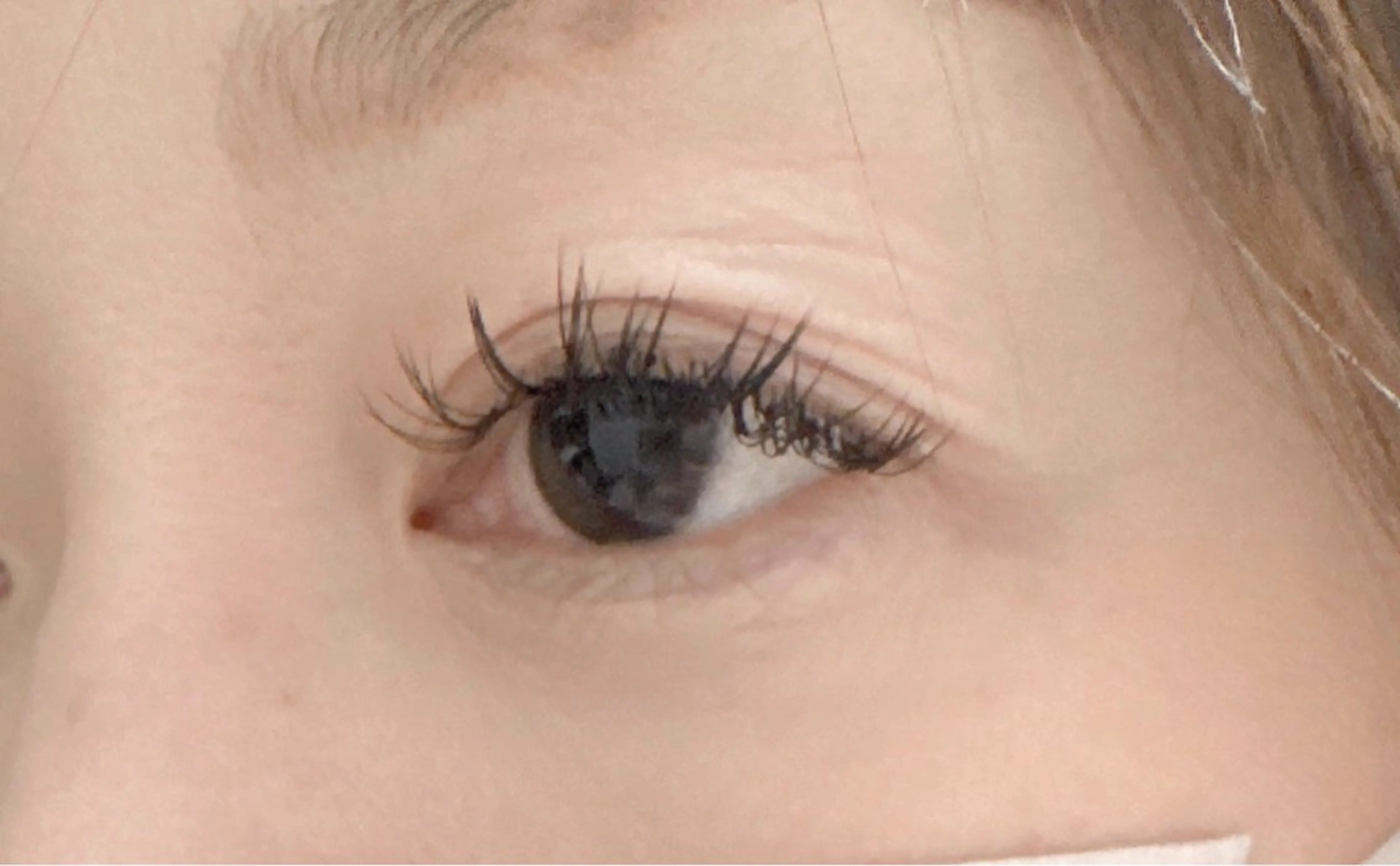 マツエク・マツパ セーブル 隠れ家サロン にんにんのマツエク・マツパデザイン