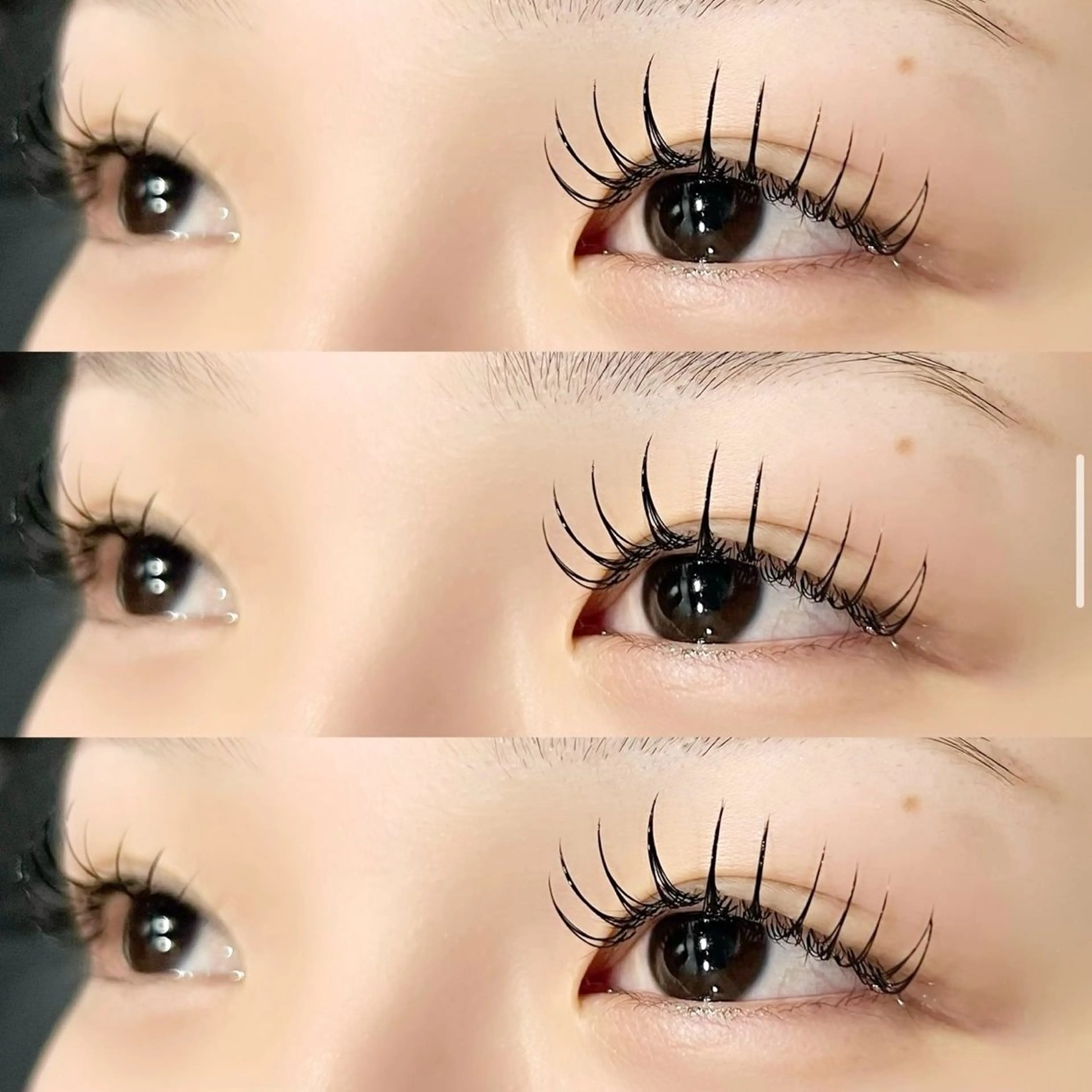 【12月限定クーポン】シングルエクステ140本(オフ込み)🎀の写真