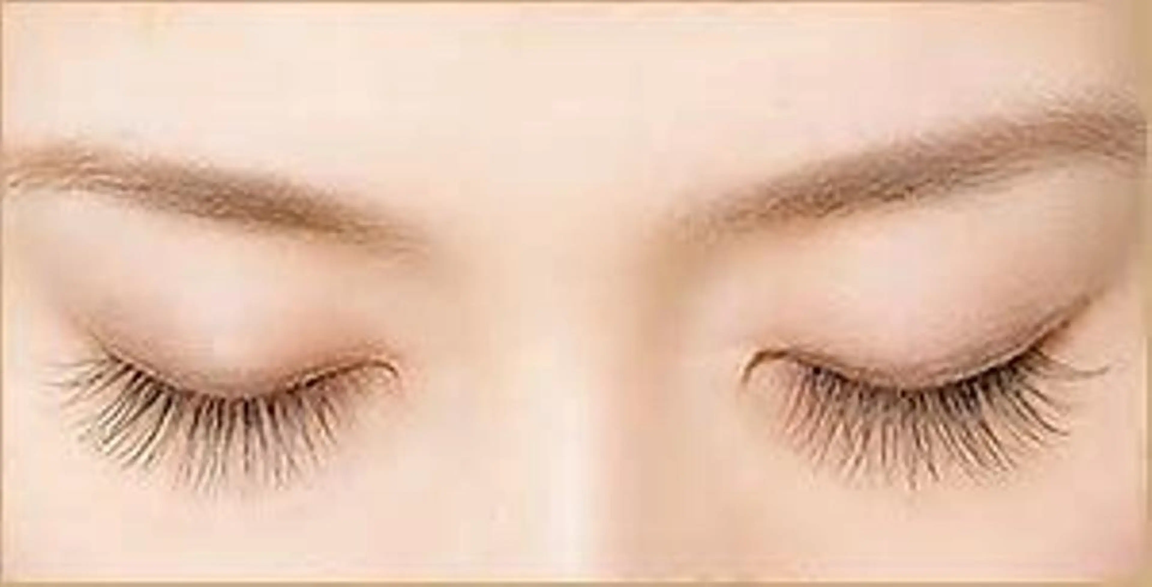 🌷アイブロウ🌷の写真