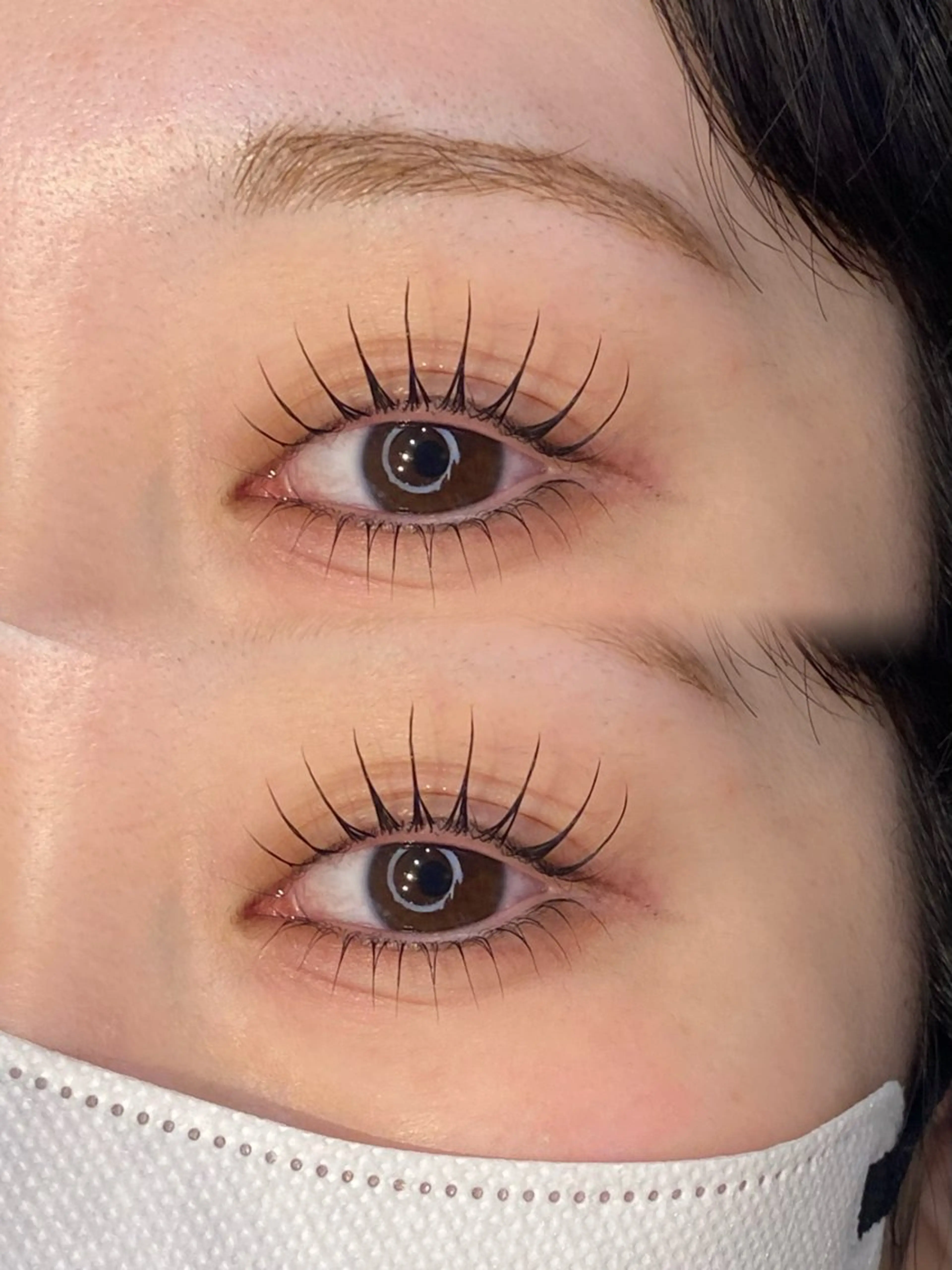 🎀上下パリジェンヌorまつ毛パーマ 🎀の写真