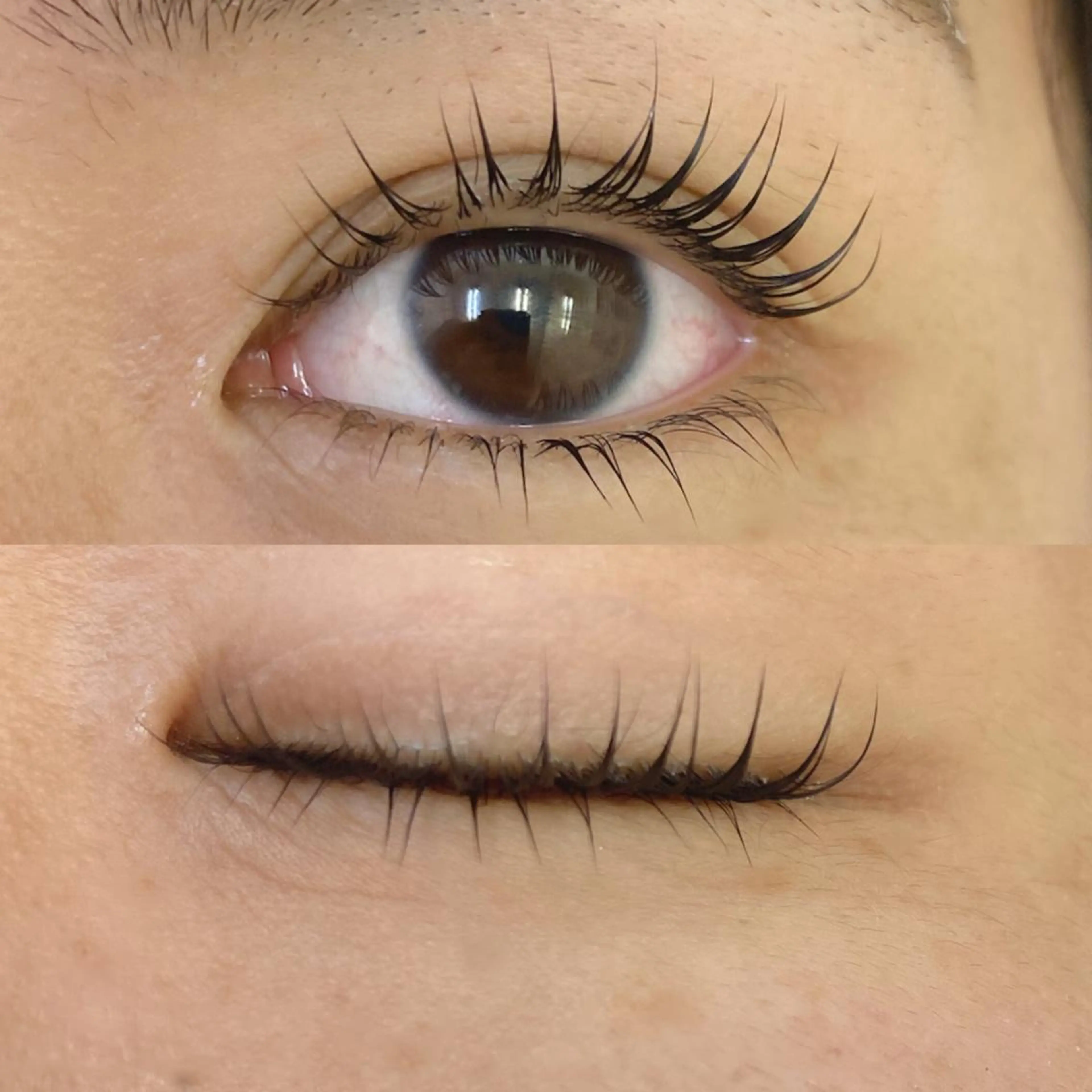 マツエク・マツパ まつげパーマ 下まつげエクステ Musee de Sorciere立川店(ミュゼドゥソルシエール)所属・🌷 natsumi　🌷のマツエク・マツパデザイン