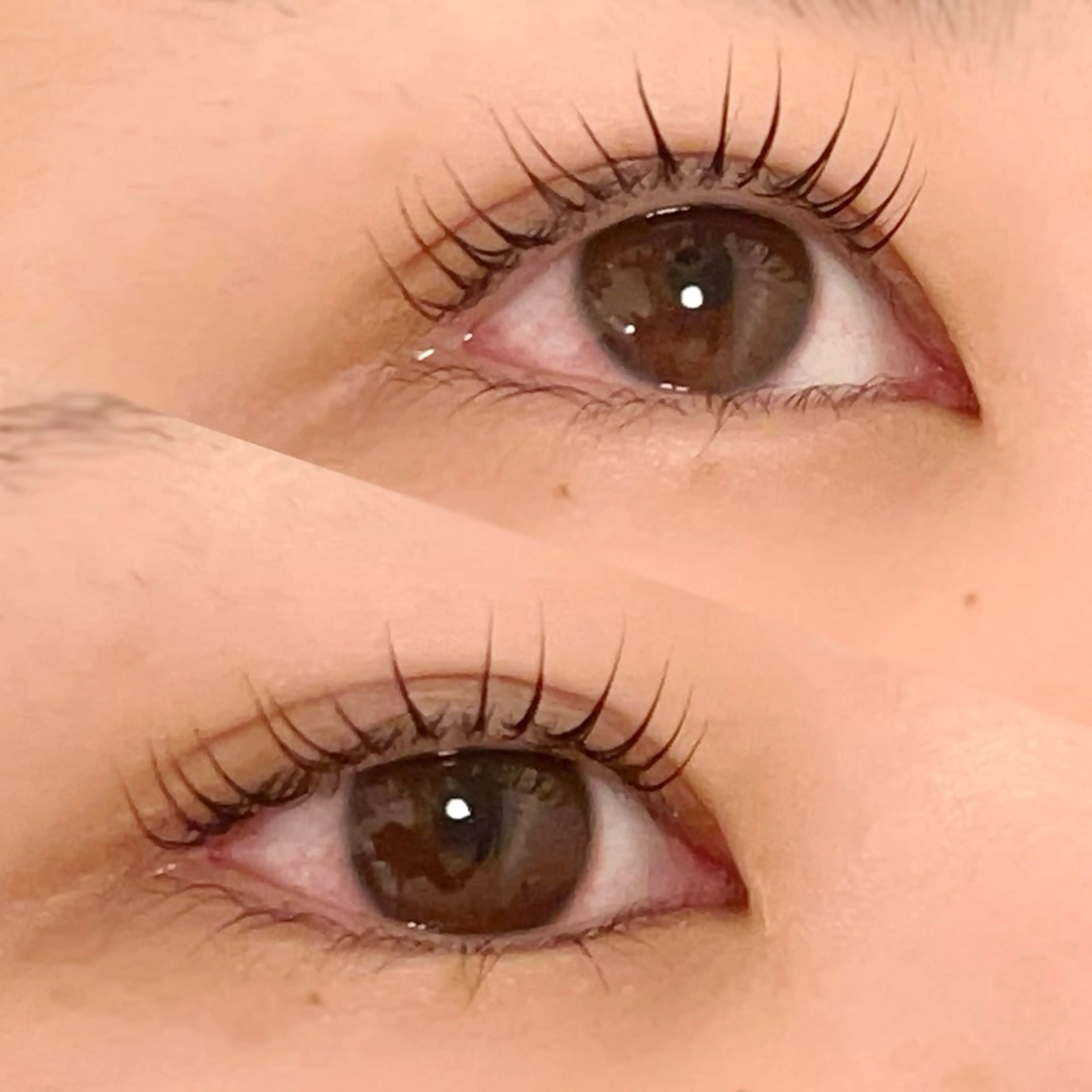 マツエク・マツパ 束感まつ毛 フラットラッシュ パリジェンヌラッシュリフト まつげパーマ 一重×まつ毛パーマ こと / 束感マツエク🐩🤍のマツエク・マツパデザイン