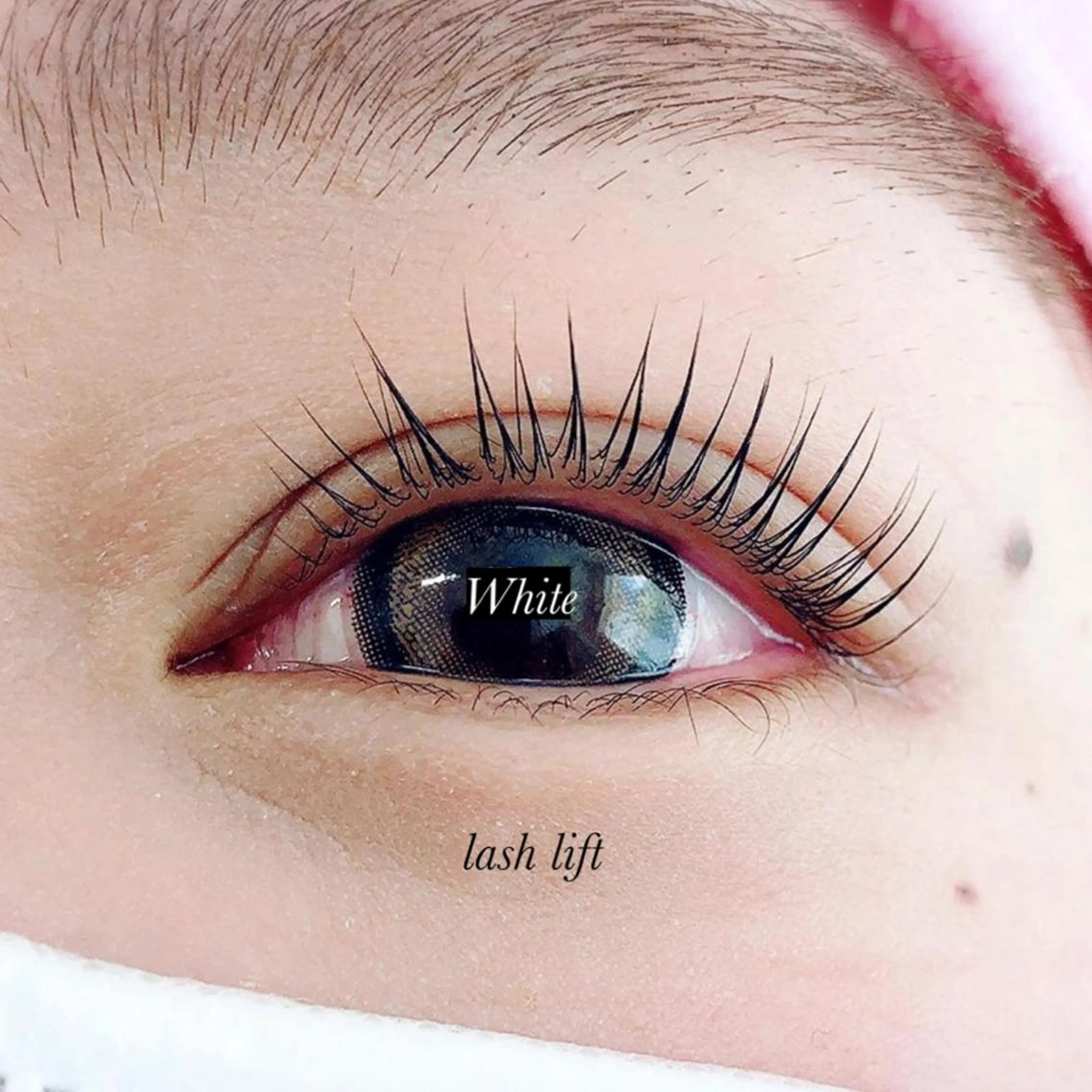 マツエク・マツパ White/マツエク /まつパ/耳つぼのマツエク・マツパデザイン