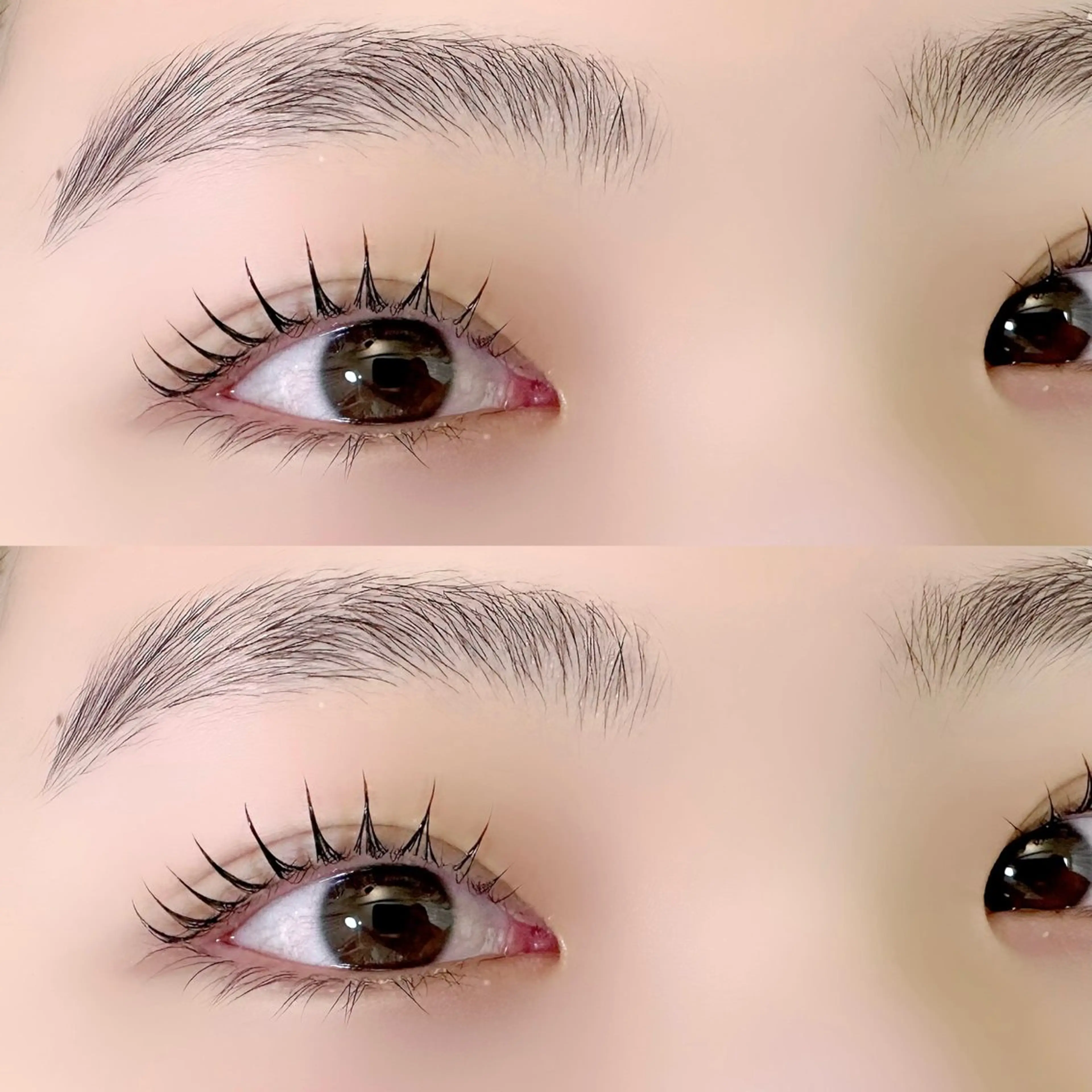 ご新規様限定//🩷ラッシュリフト（まつ毛パーマ）の写真