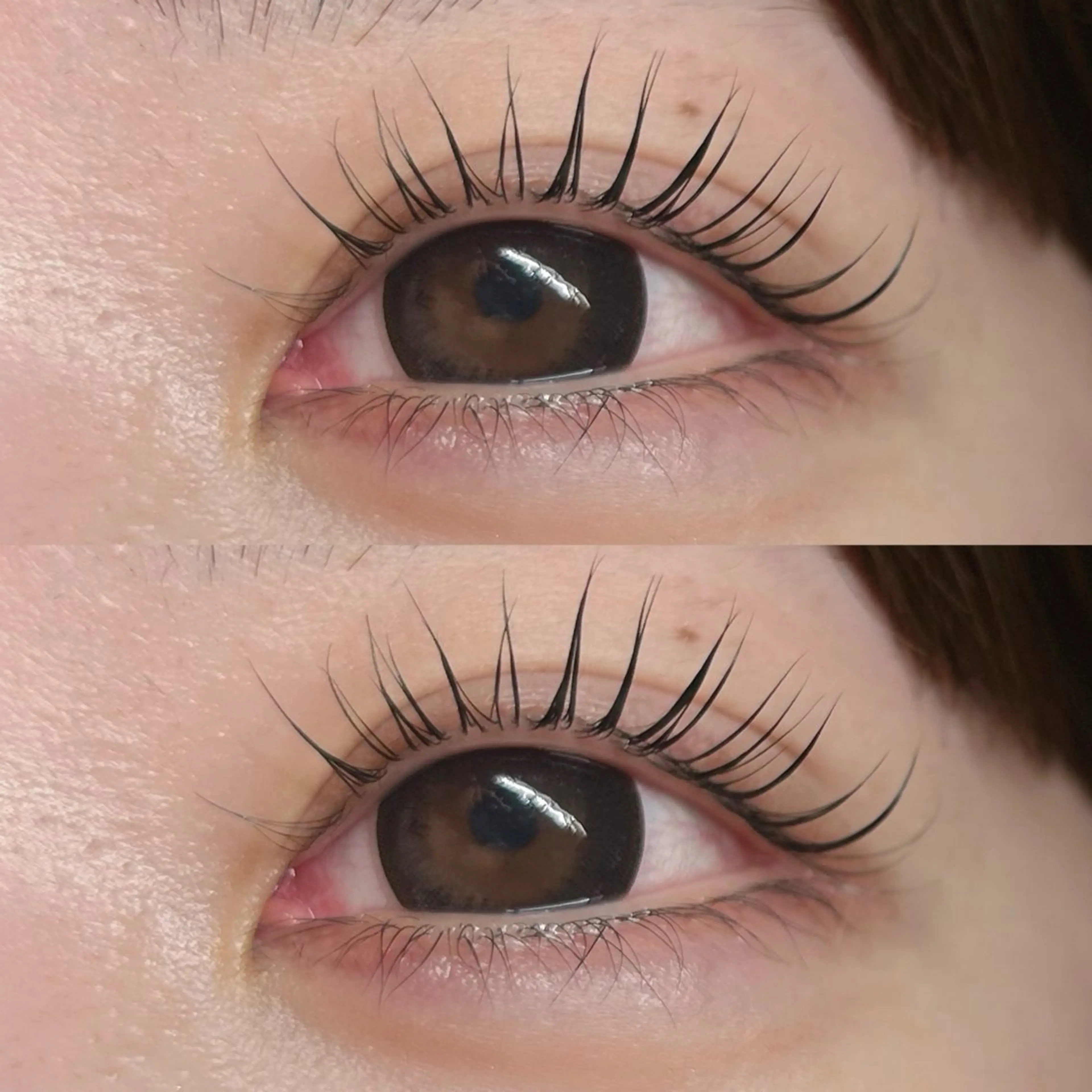 🫧メーテルラッシュリフト🫧の写真