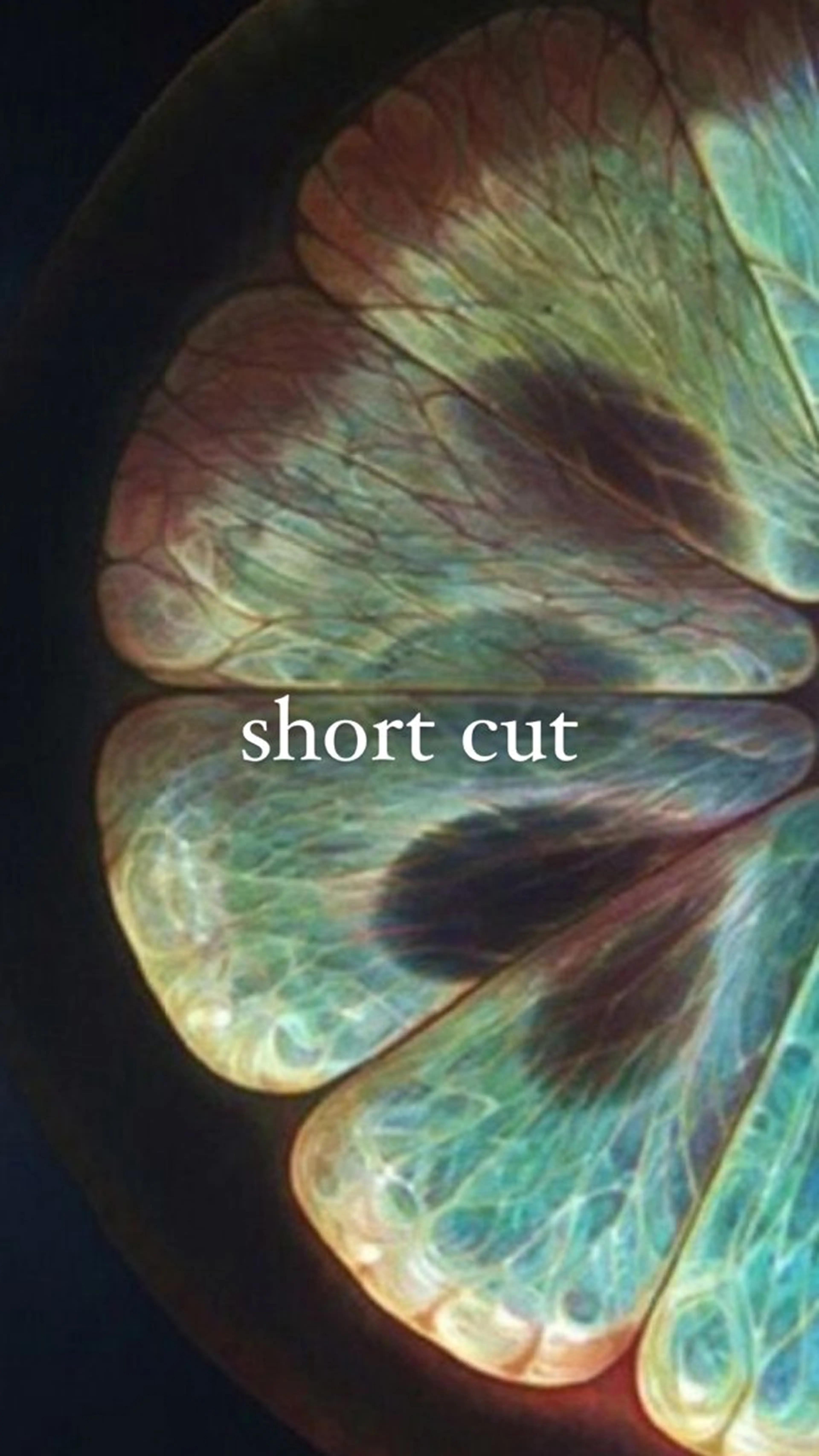 ショート 束所属・毛流れセンターパート Sakiのヘアスタイル