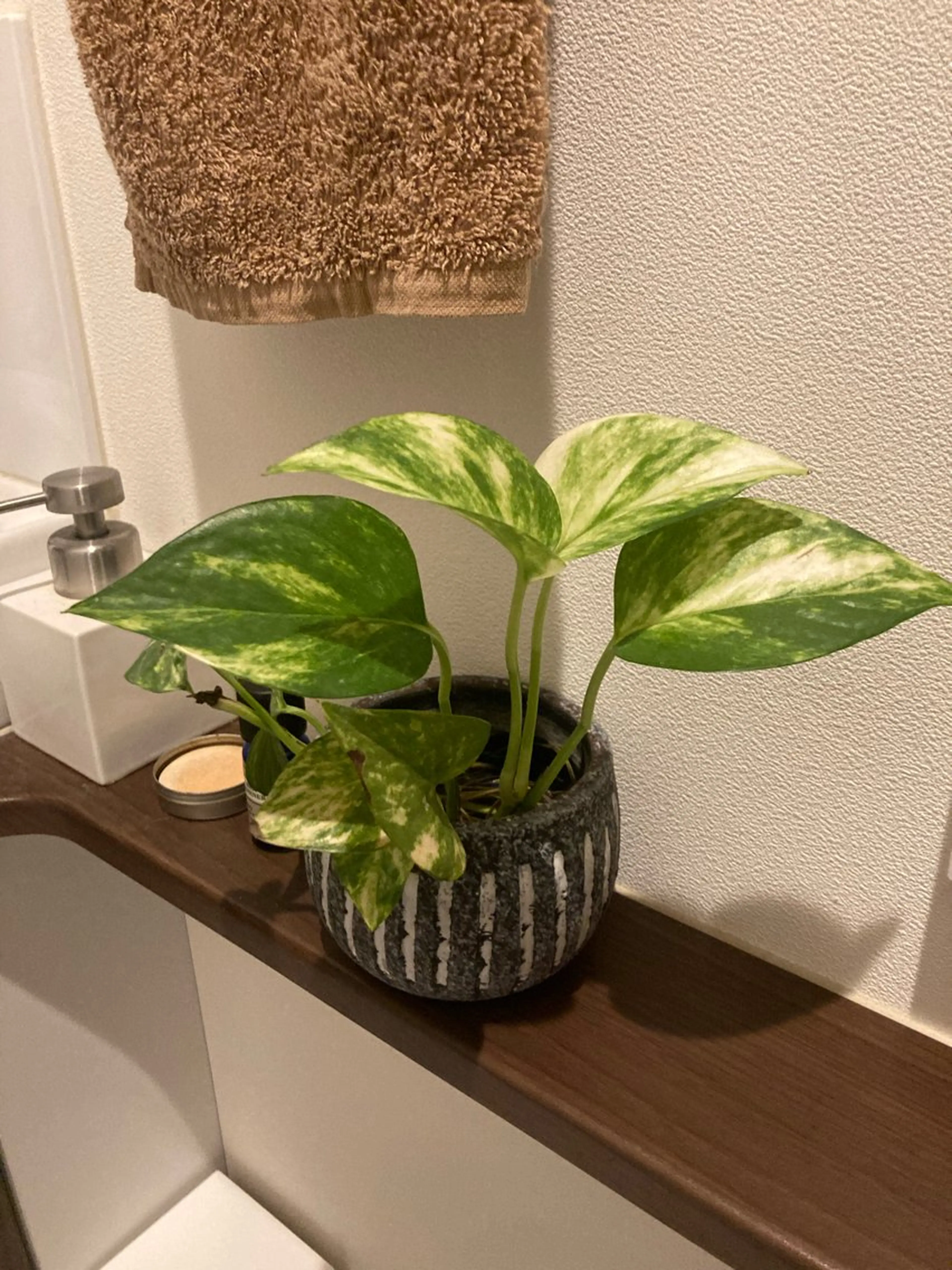 フェイシャルサロン ビアンカガーデンのエステ・リラクイメージ