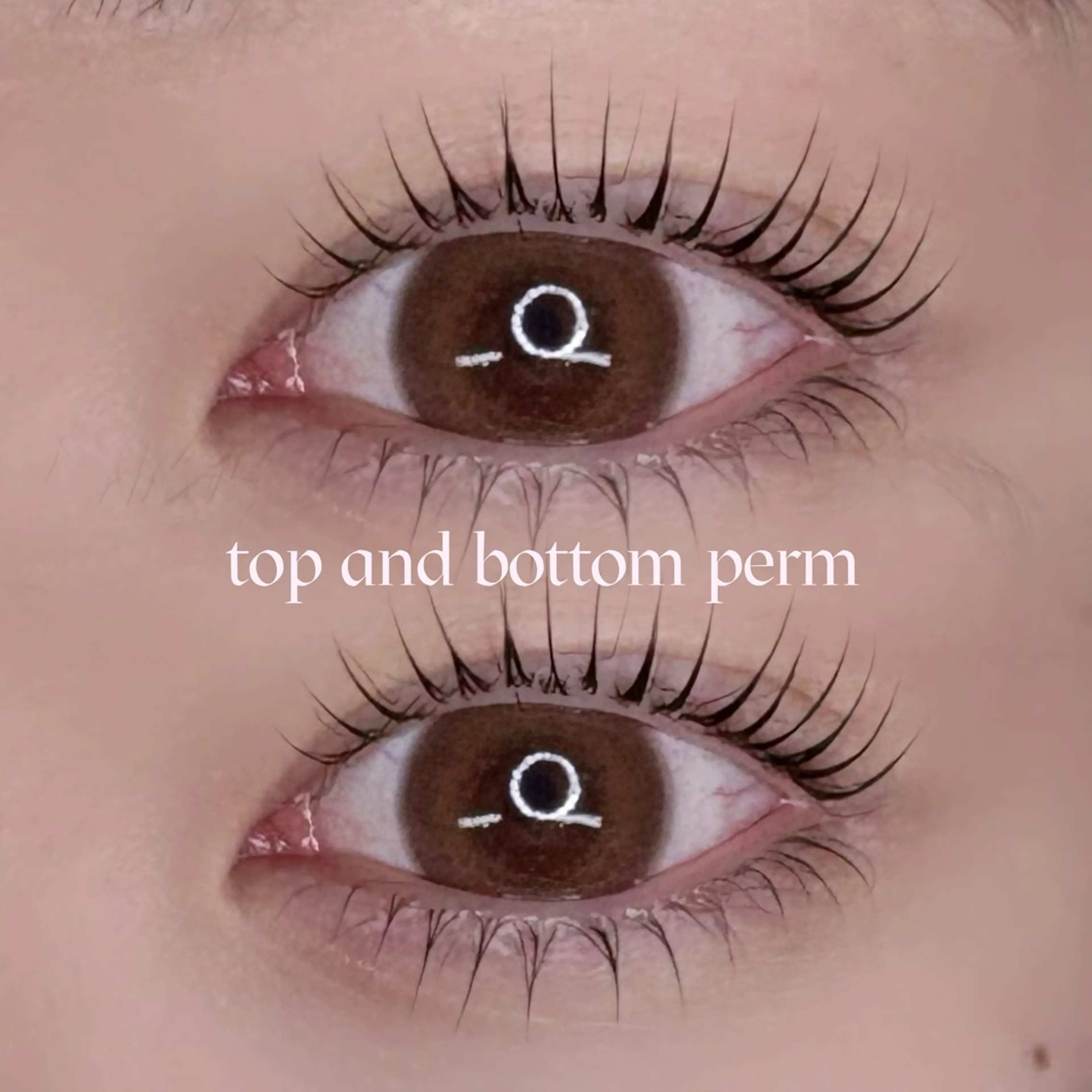 【3月限定メニュー🫶🏻✨】上下ラッシュリフト🌼の写真