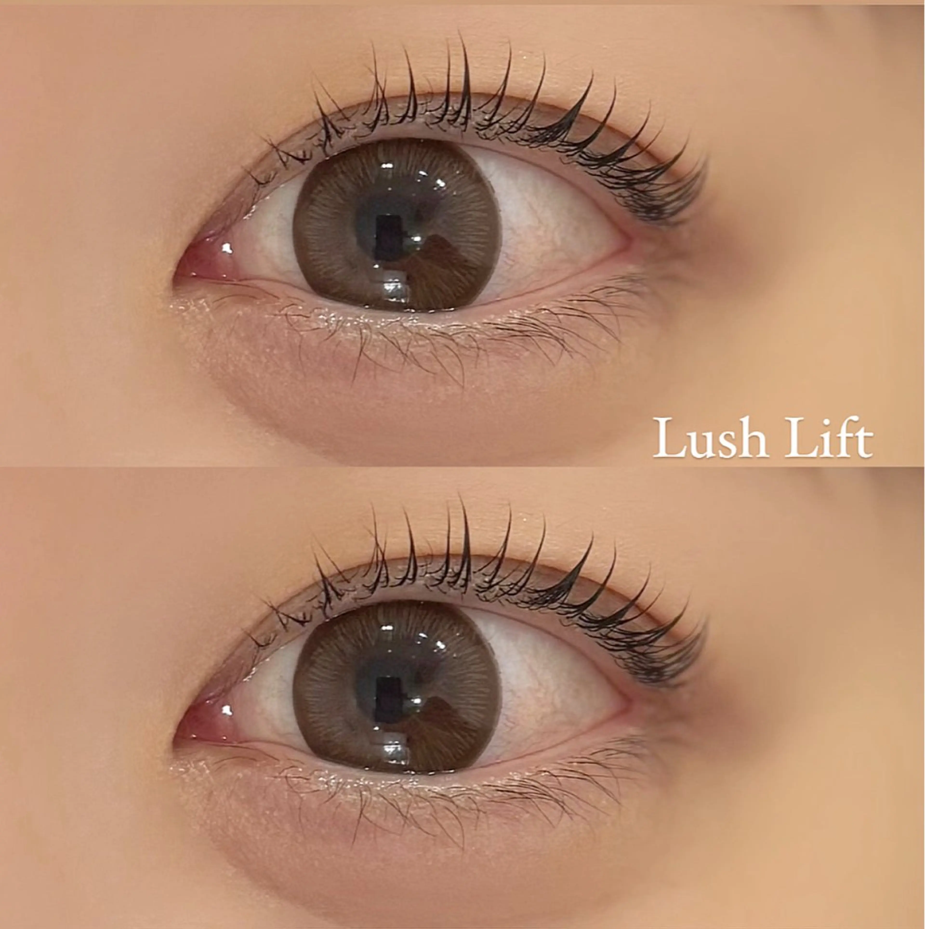 マツエク・マツパ マツパ moana karinの眉毛・アイブロウイメージ