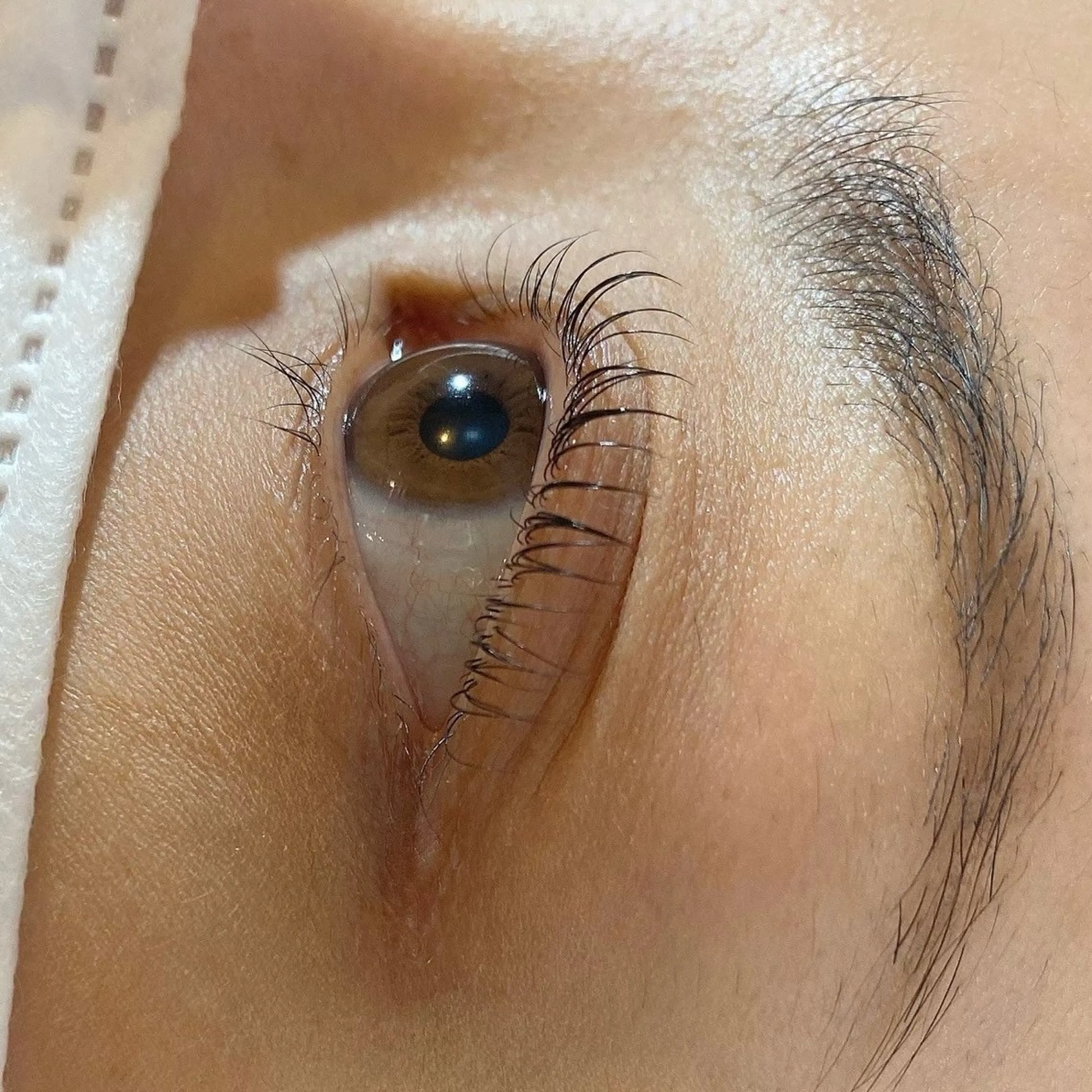 マツエク・マツパ マツパ mili吉祥寺店【ミリ】まつげパーマ/パリジェンヌ/LEDエクステ/バインドロック所属・mili 🧸kinaのマツエク・マツパデザイン