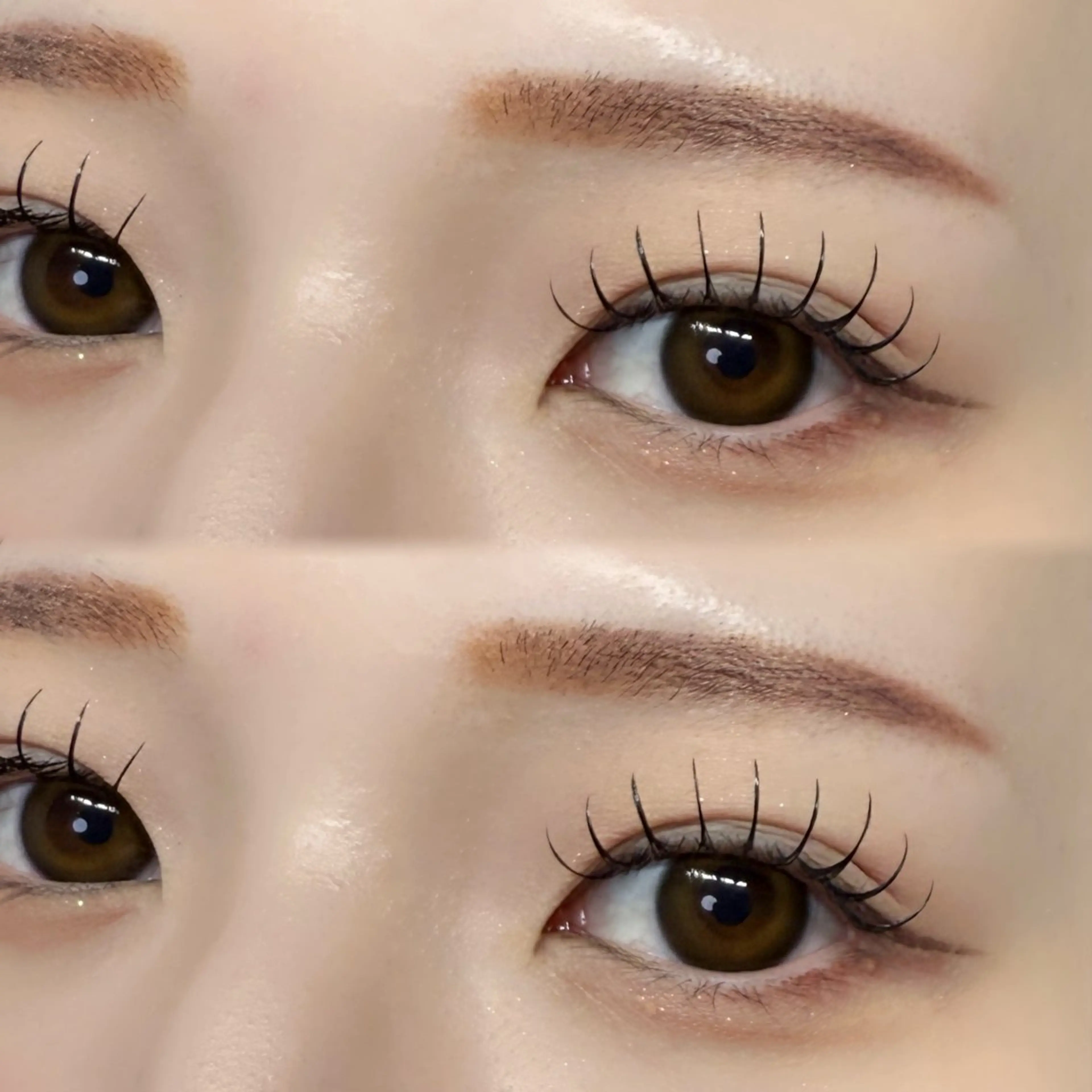 フラットラッシュ100本 ¥5,000の写真